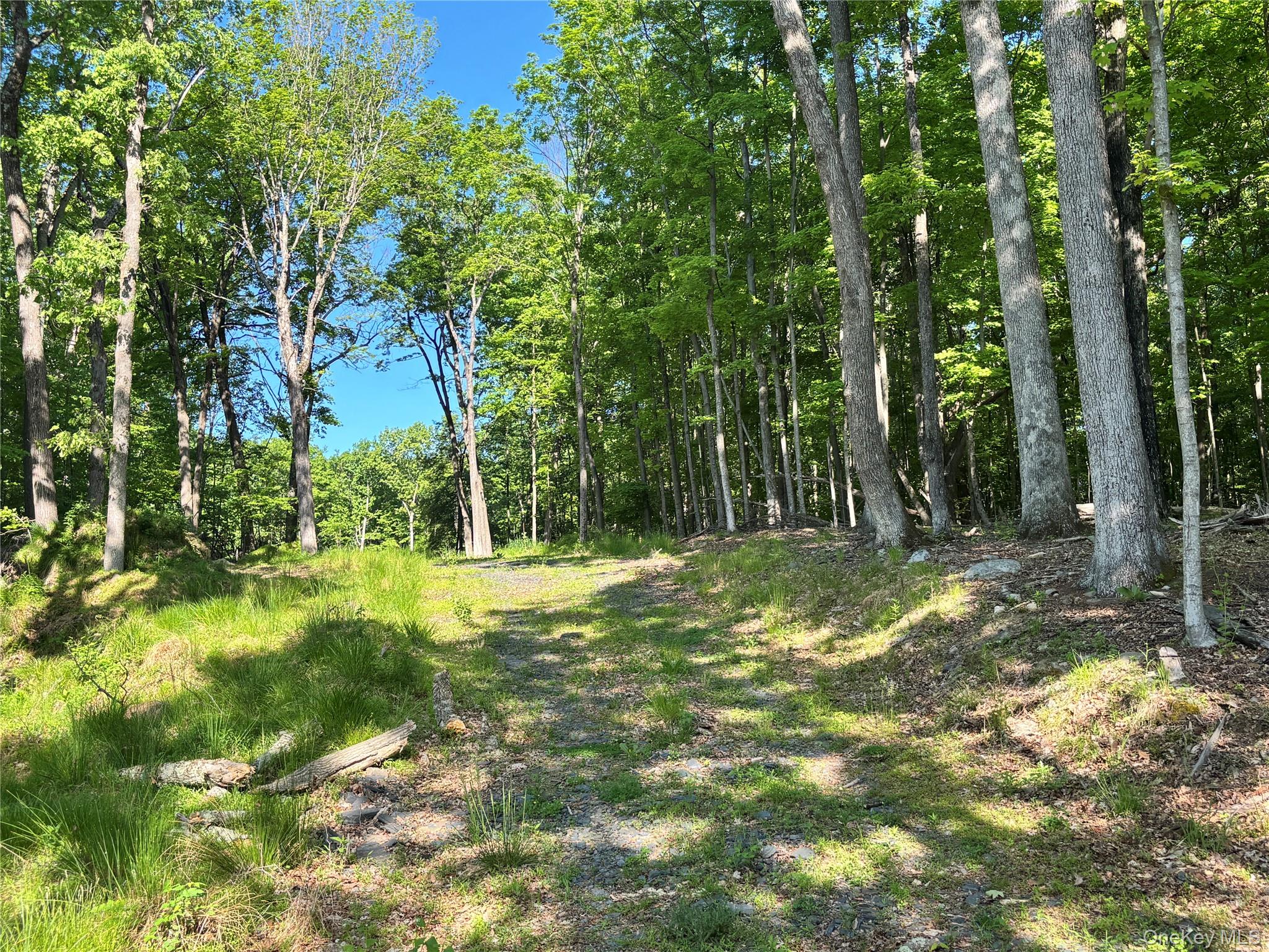 South Plank Road Property Photo 3