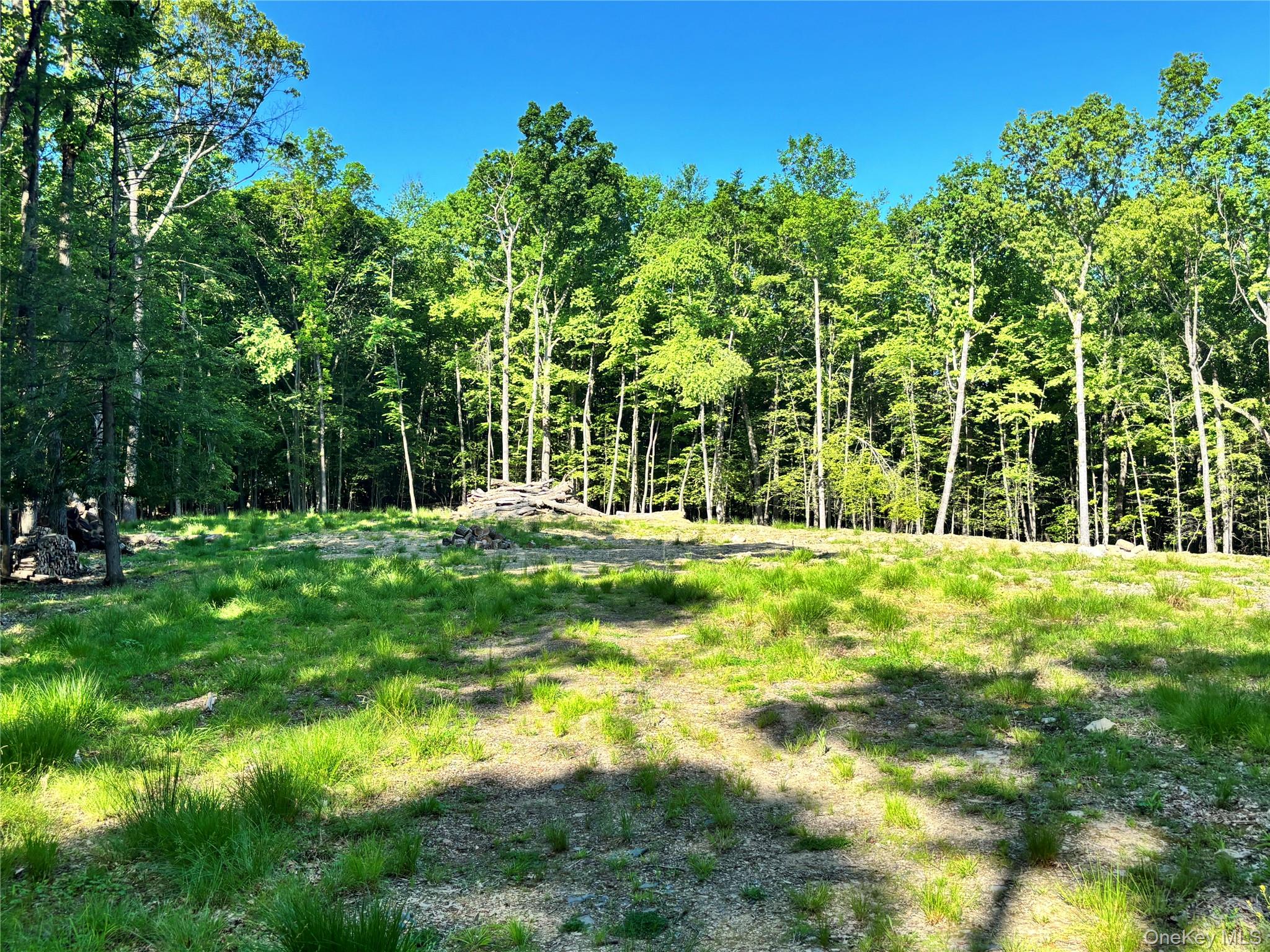 South Plank Road Property Photo 5