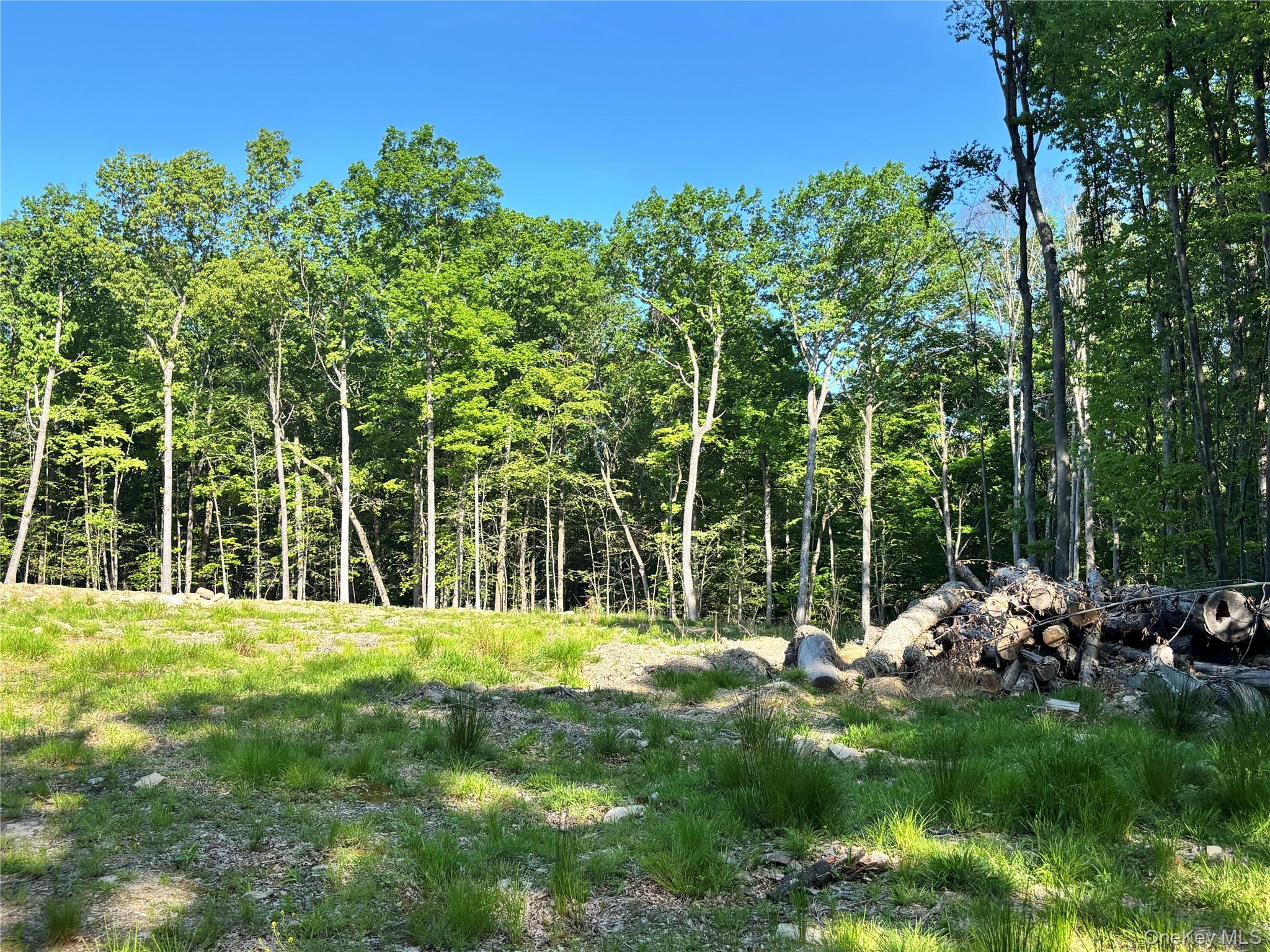 South Plank Road Property Photo 6
