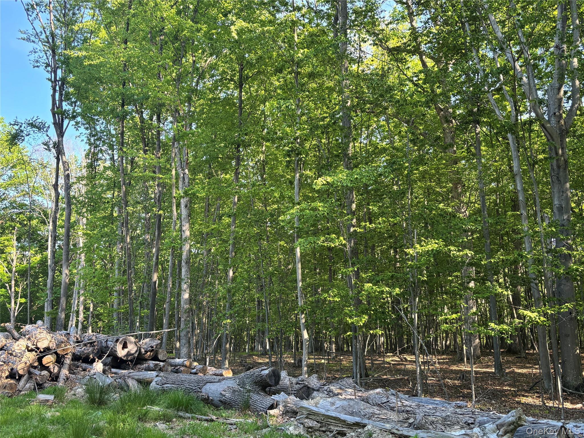 South Plank Road Property Photo 7