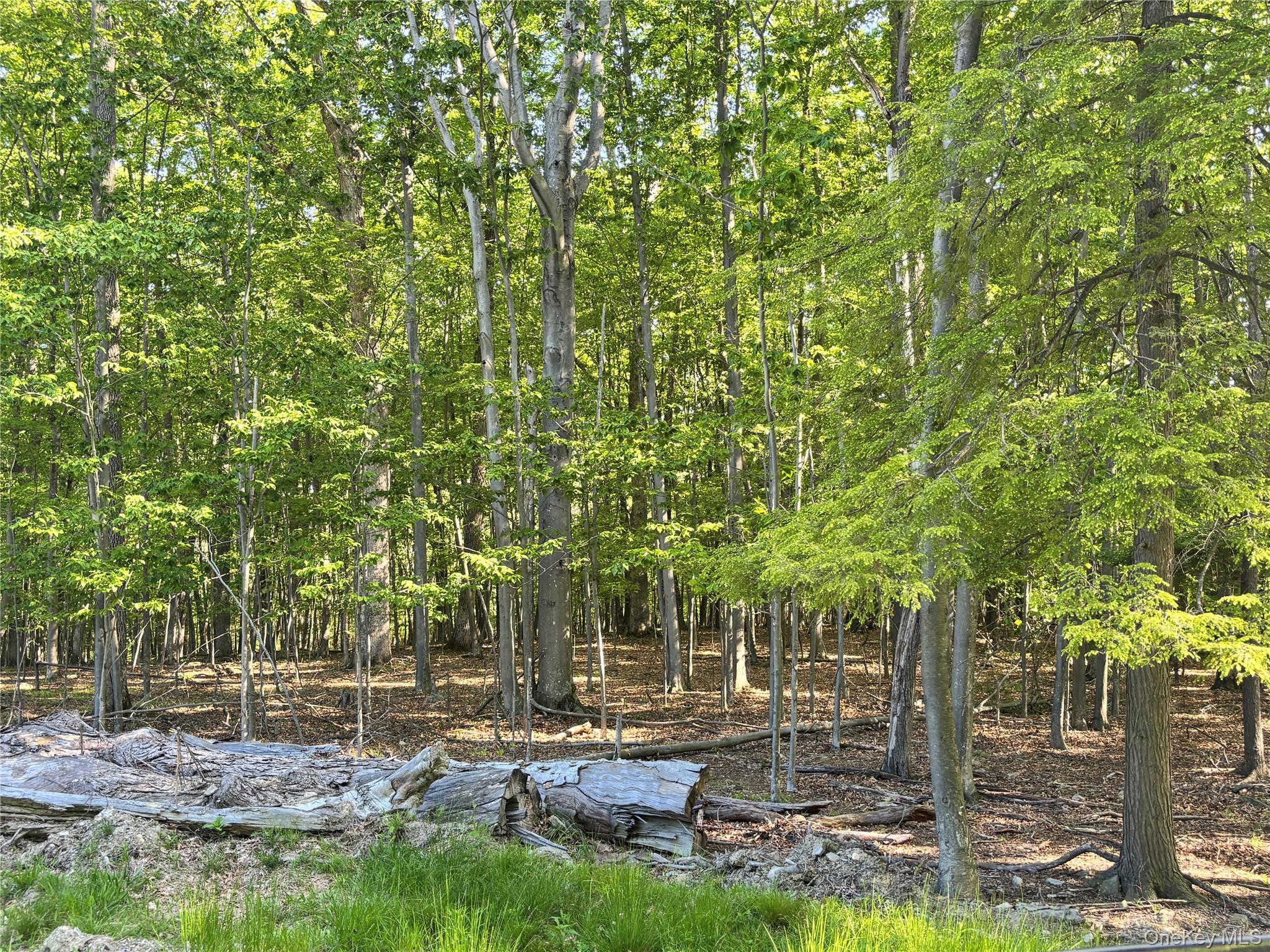 South Plank Road Property Photo 8