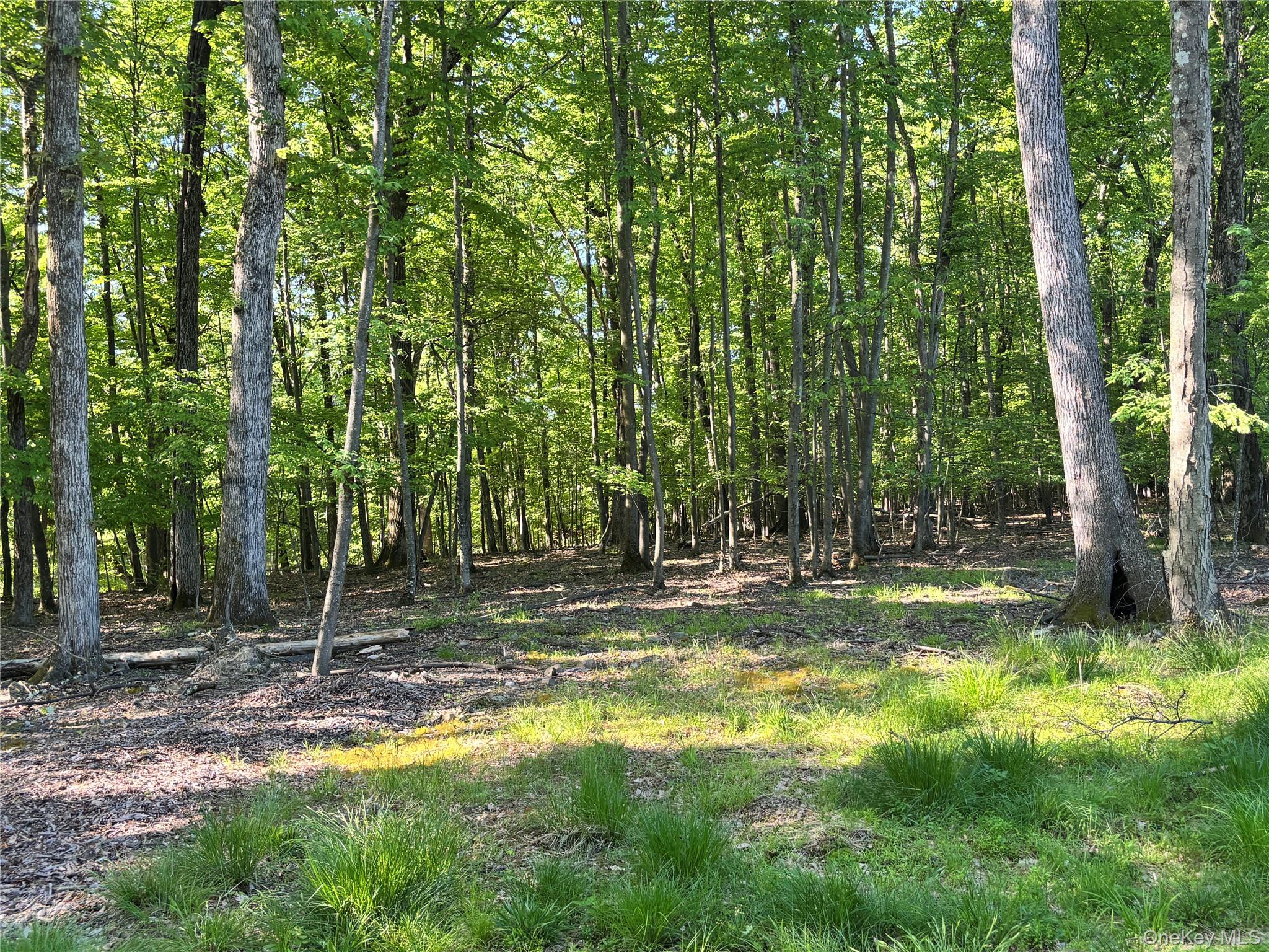 South Plank Road Property Photo 9