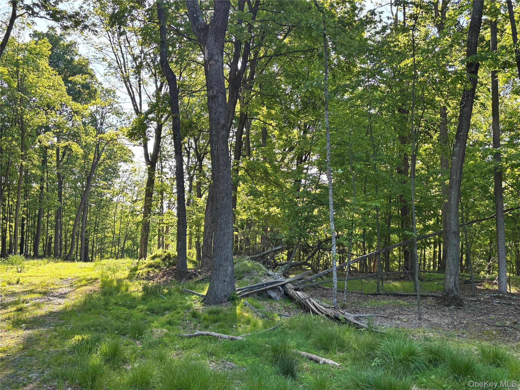 South Plank Road Property Photo 10