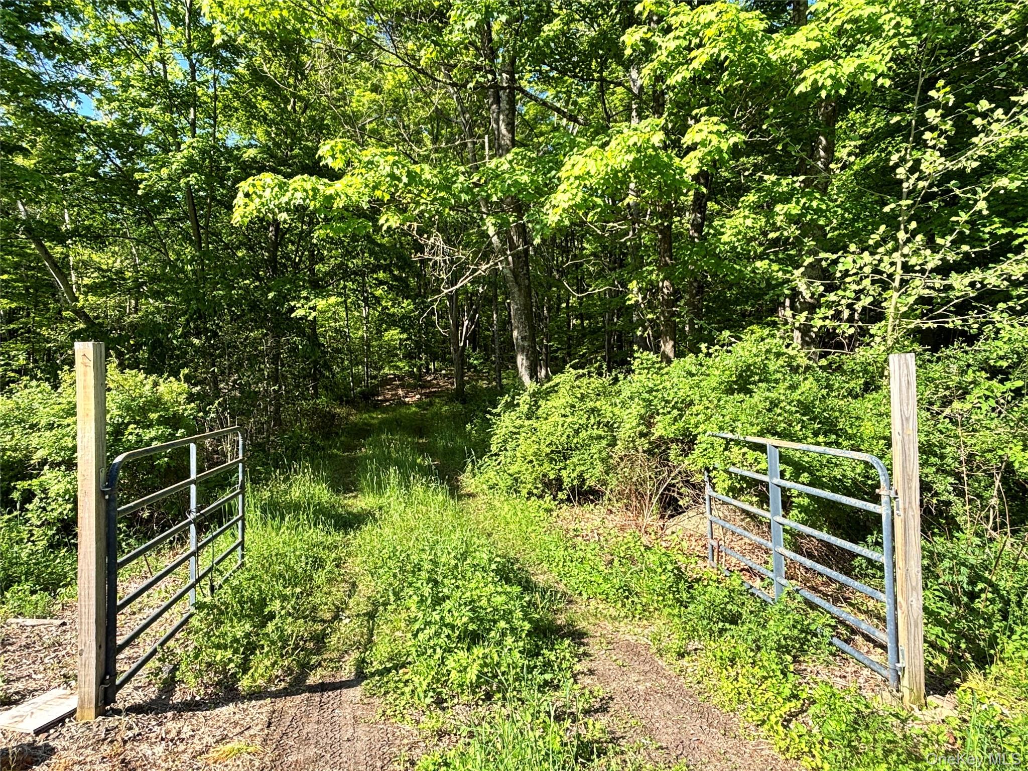 South Plank Road Property Photo 11
