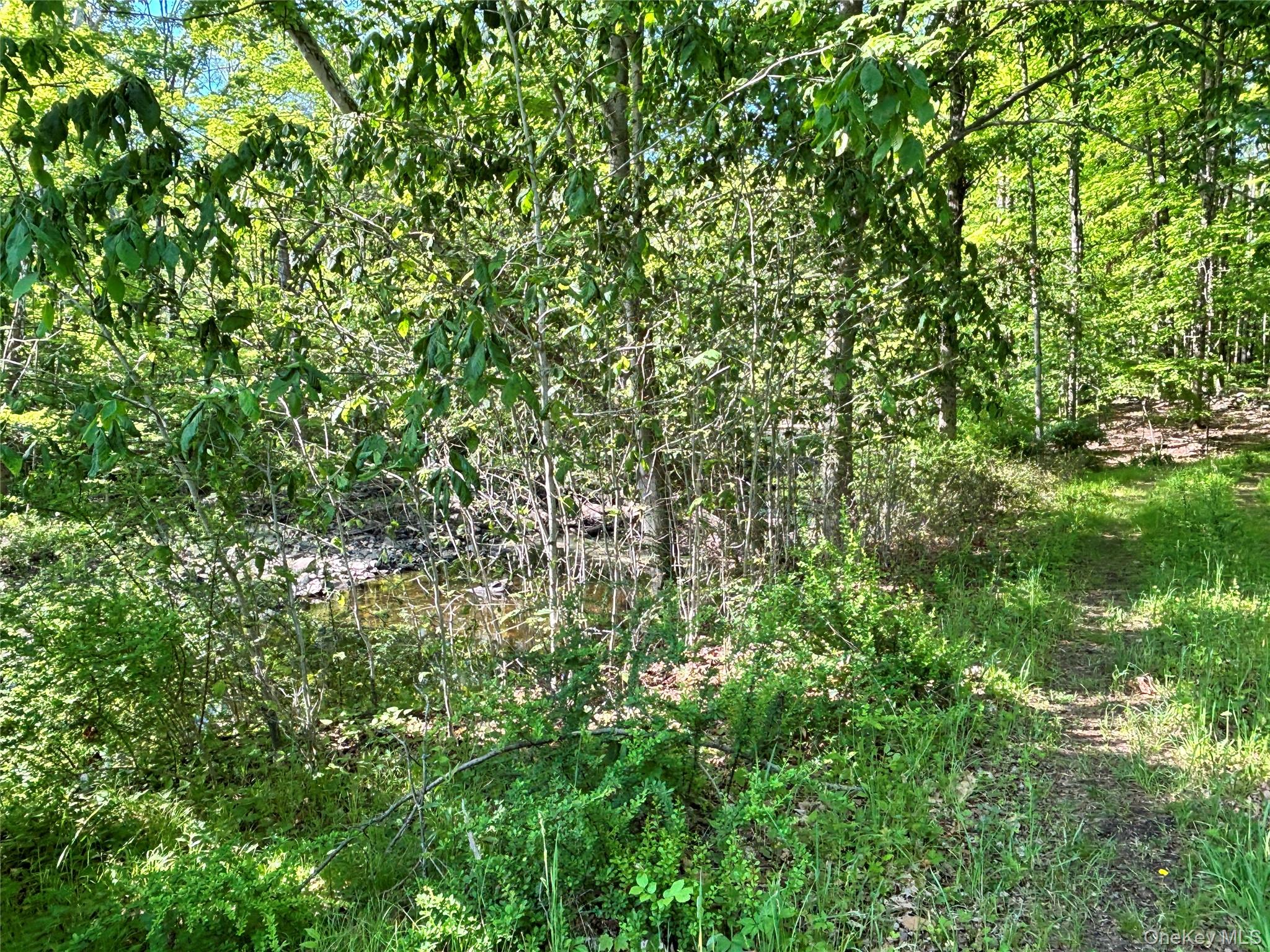 South Plank Road Property Photo 12