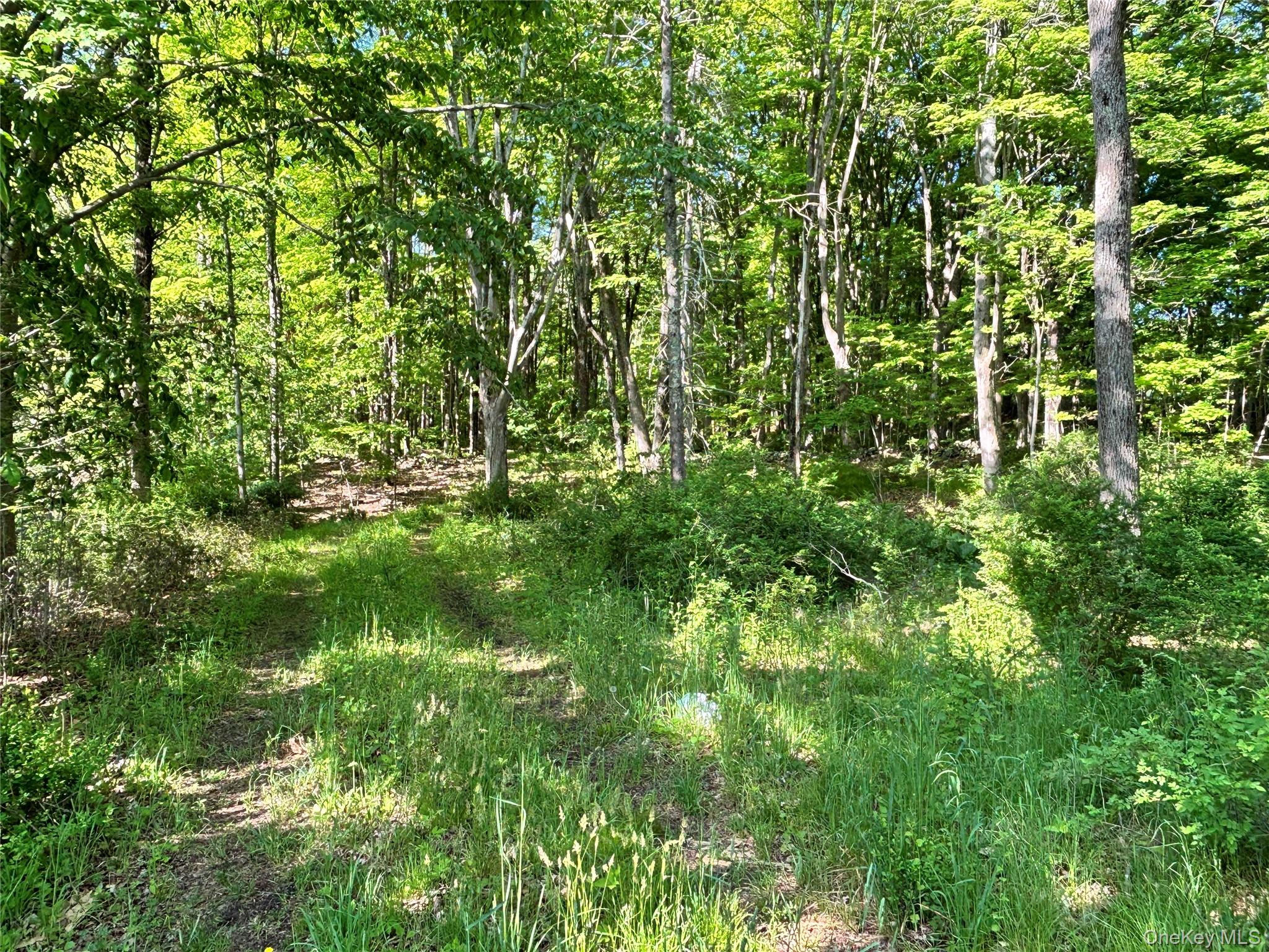 South Plank Road Property Photo 13