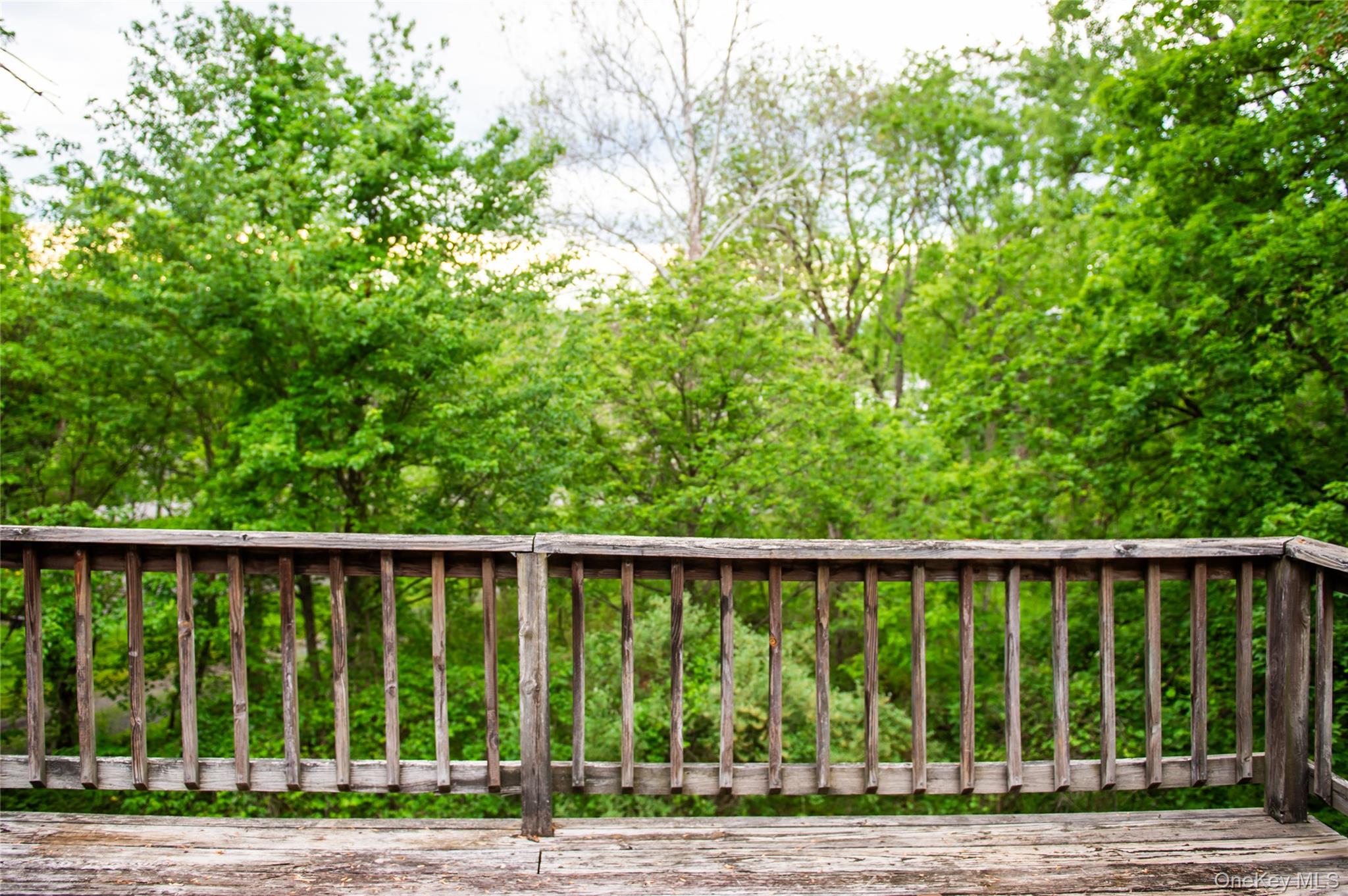 12 Chaucer Road Property Photo 30