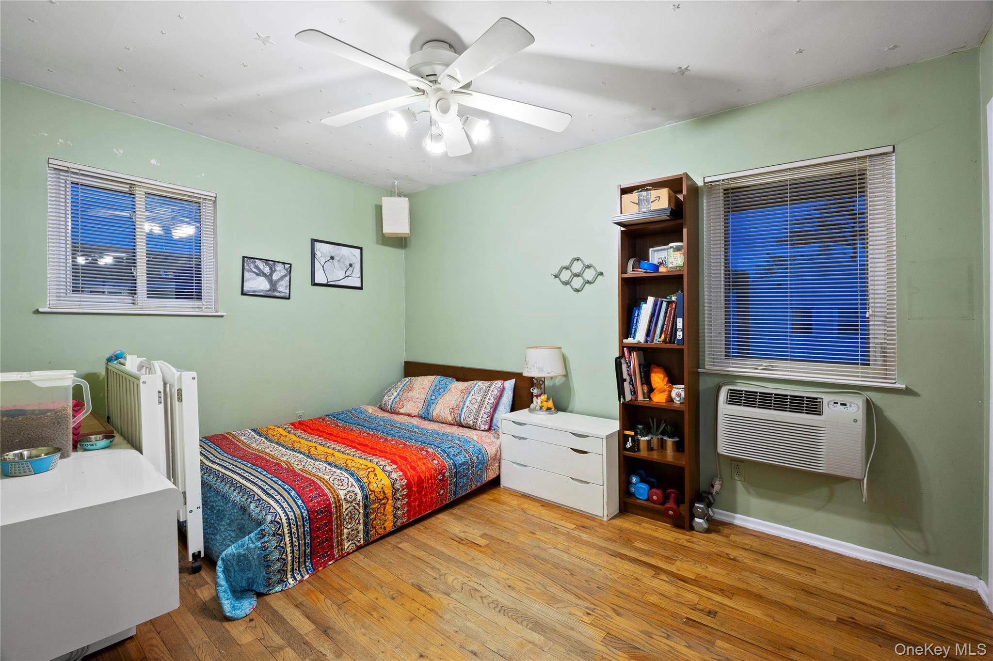 39 Pal Street Property Photo 22