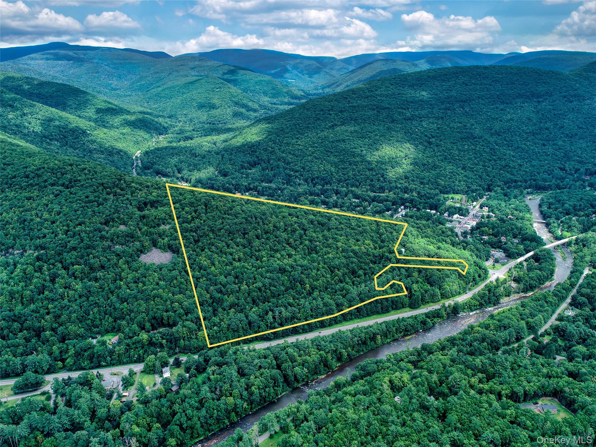 Tbd Ny-28 Route Property Photo 1