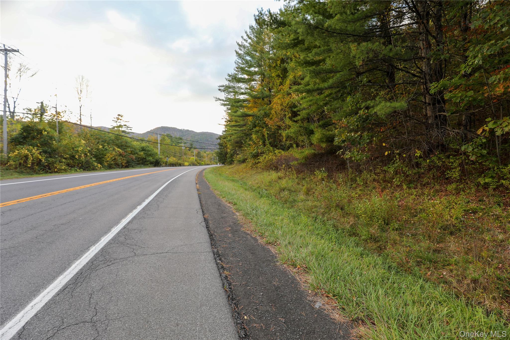 Tbd Ny-28 Route Property Photo 2