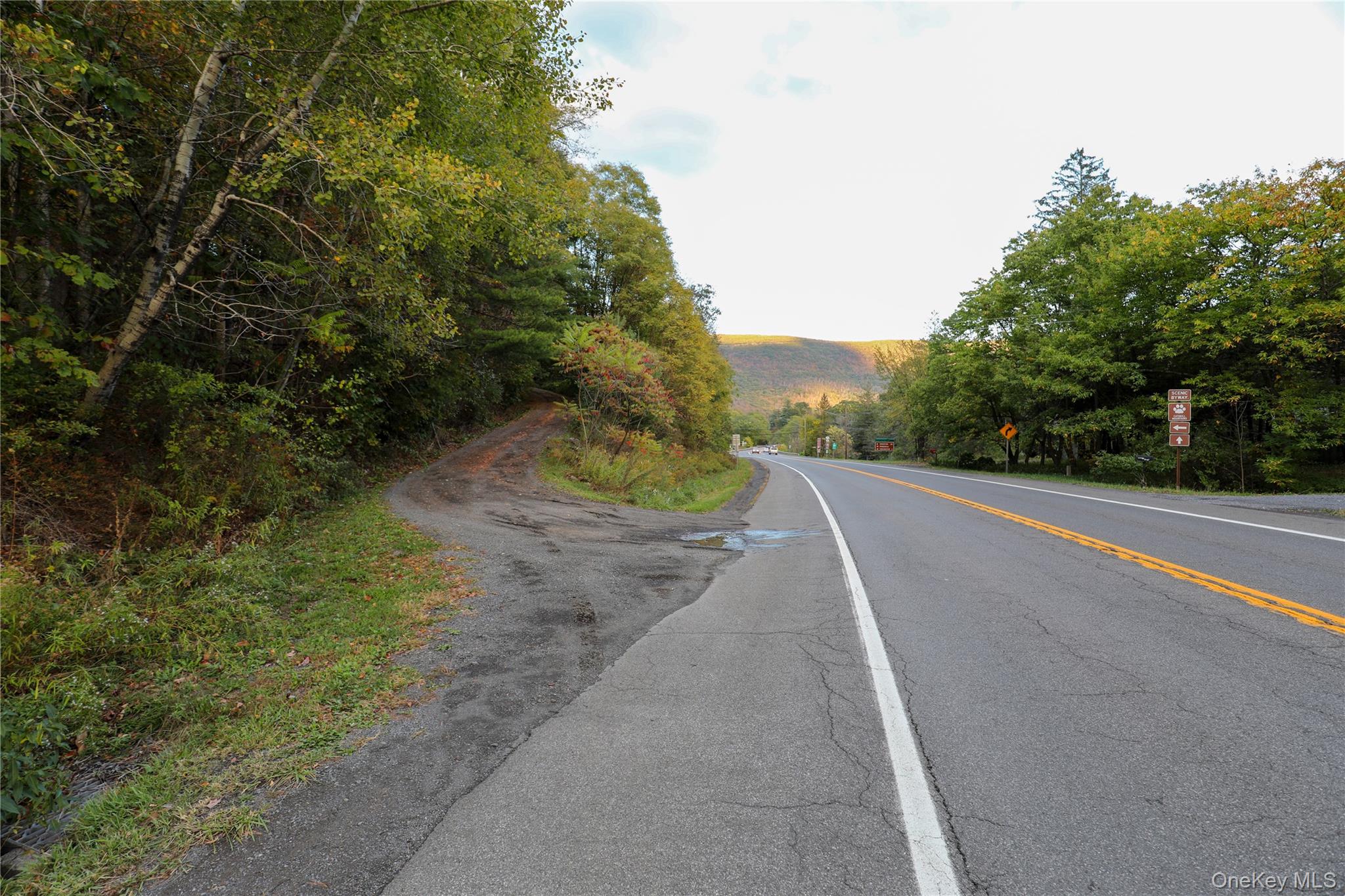 Tbd Ny-28 Route Property Photo 3