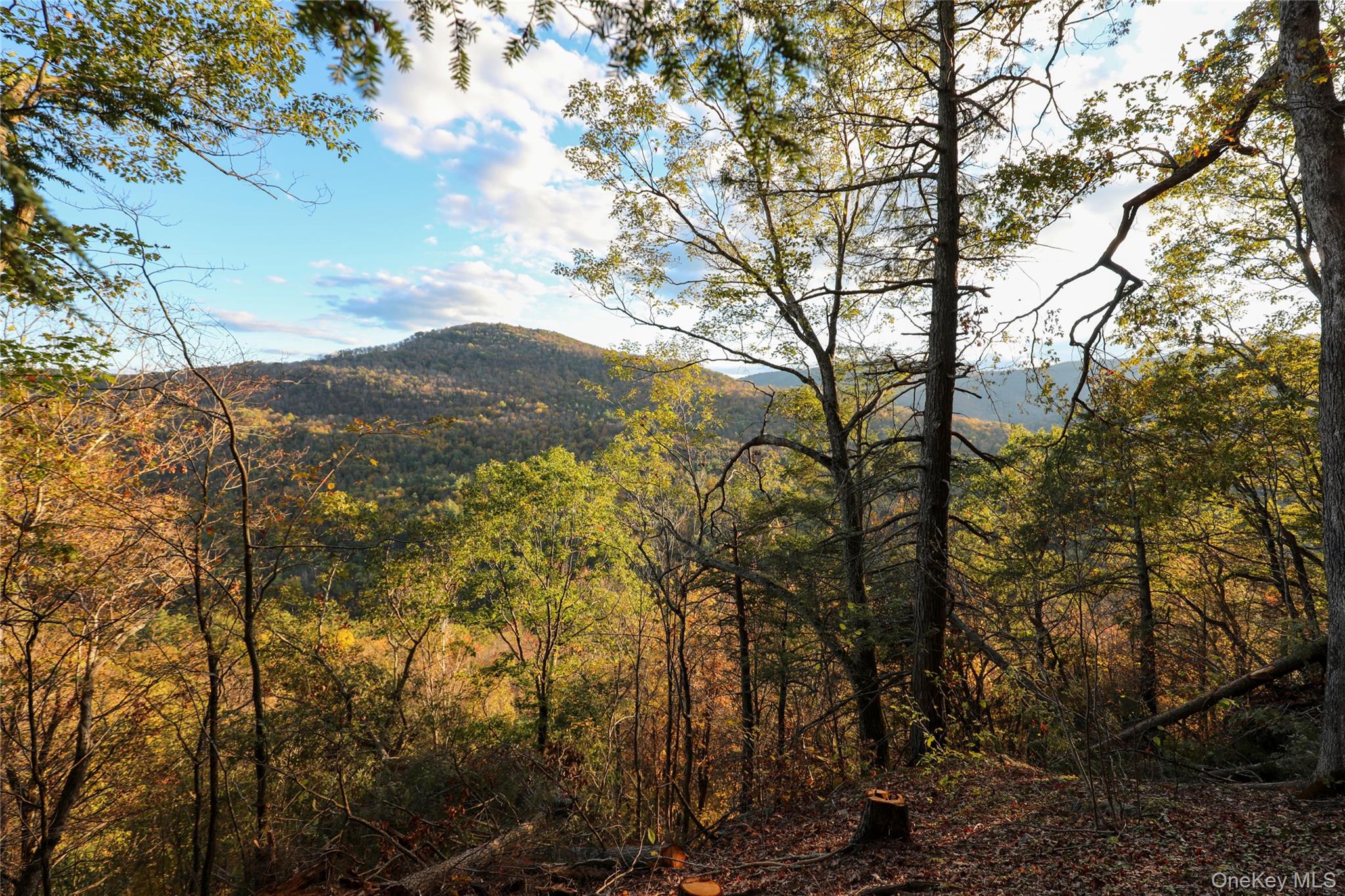 Tbd Ny-28 Route Property Photo 5