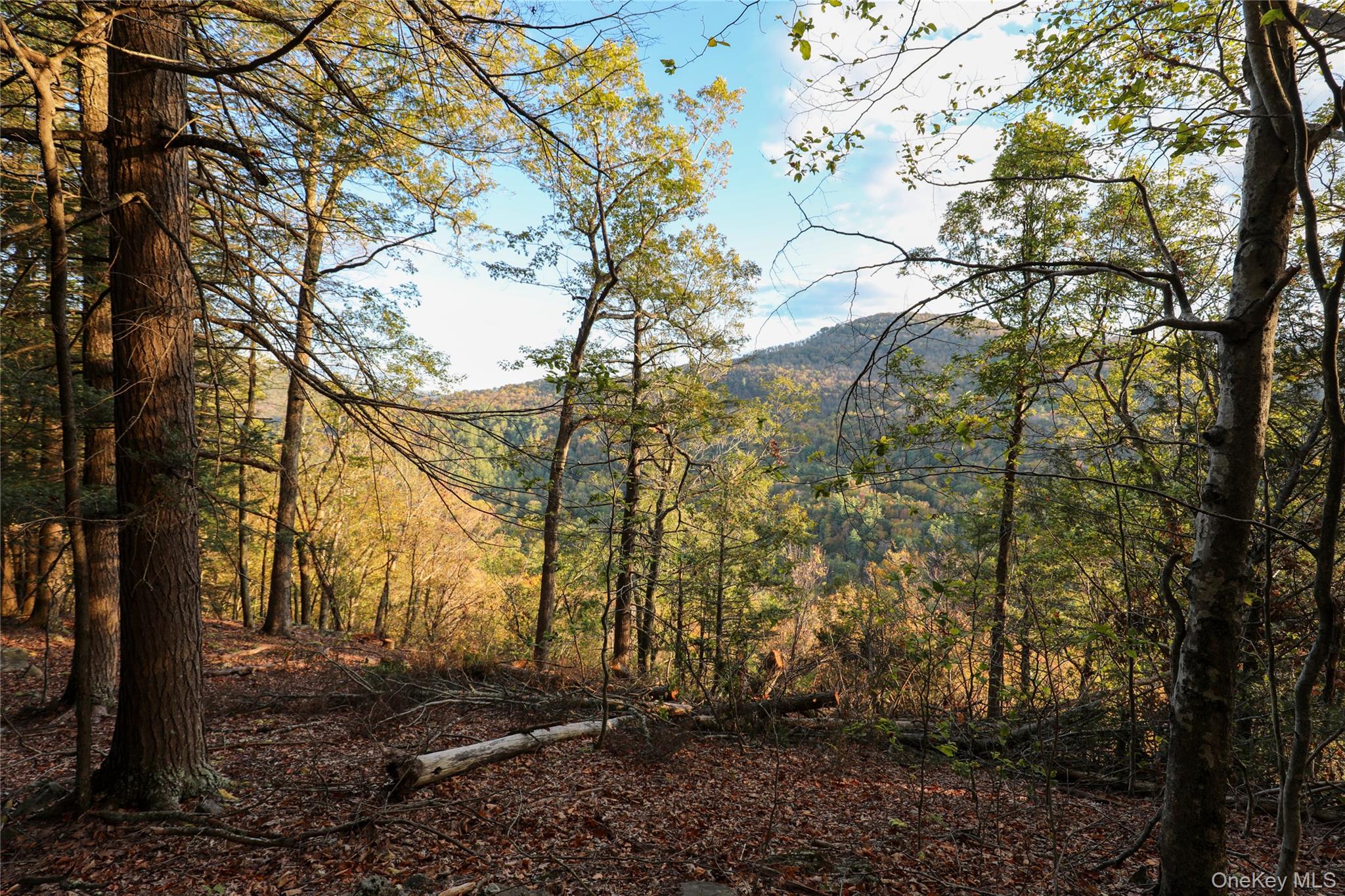 Tbd Ny-28 Route Property Photo 6