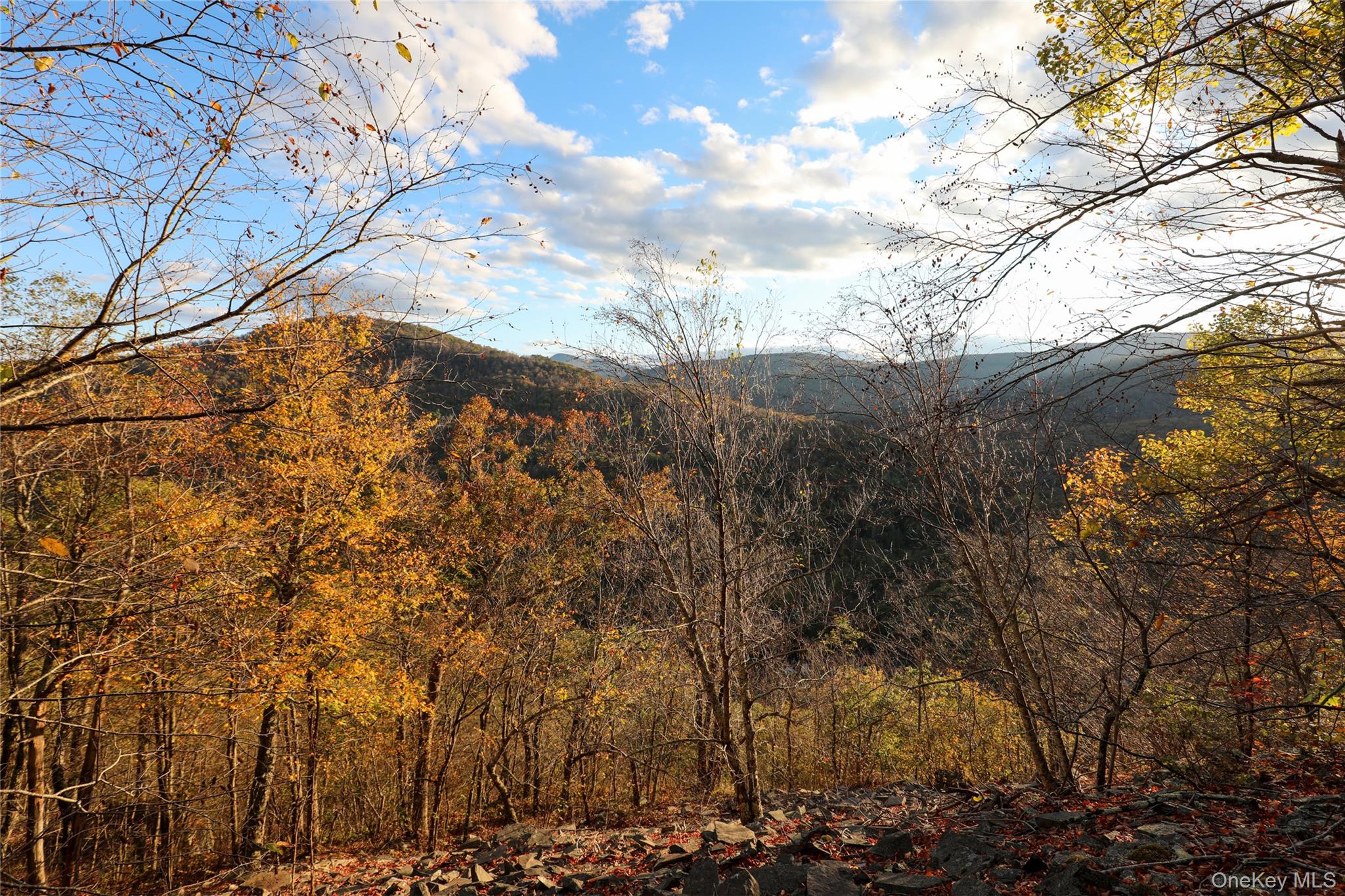 Tbd Ny-28 Route Property Photo 7