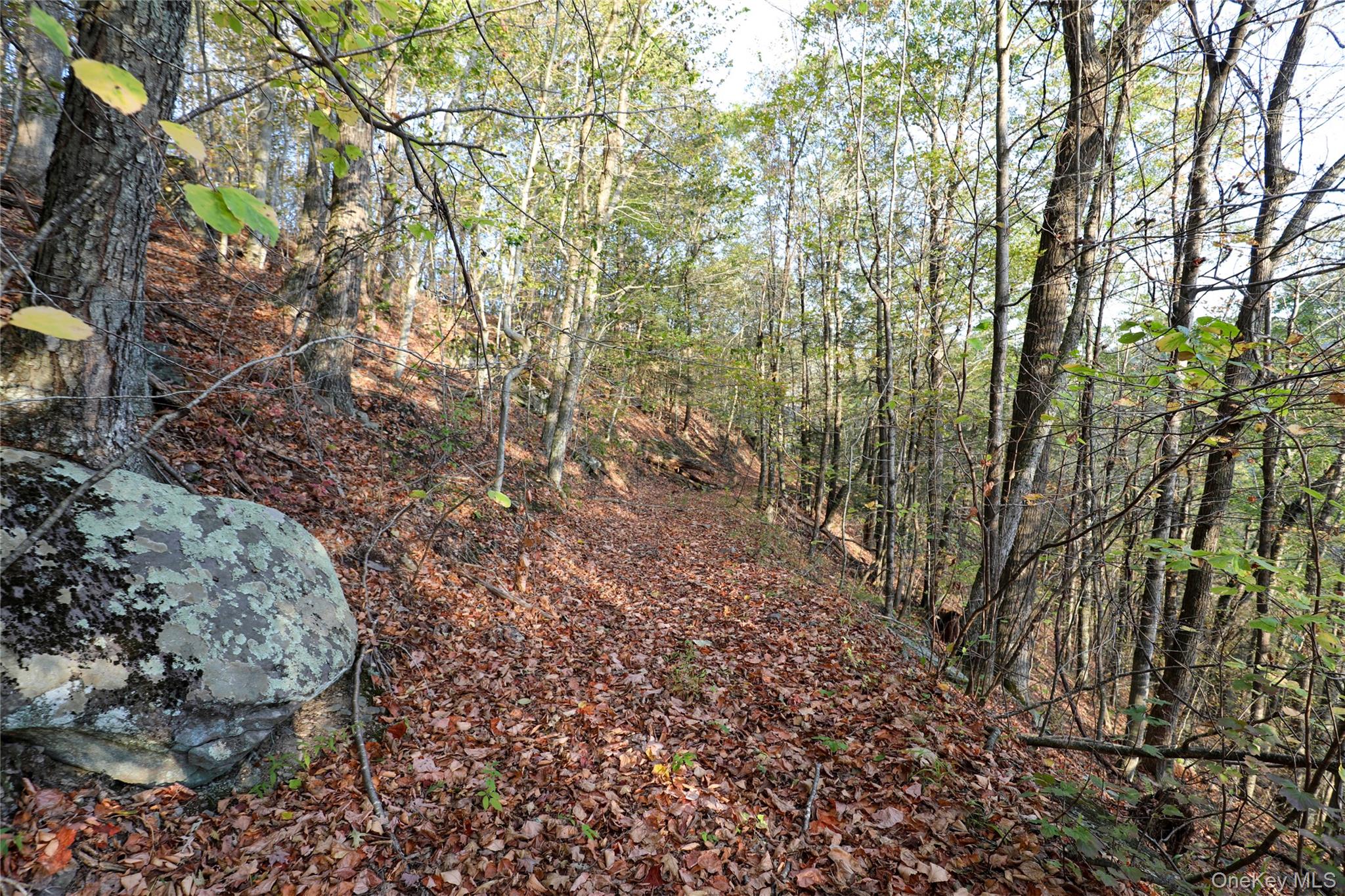 Tbd Ny-28 Route Property Photo 9