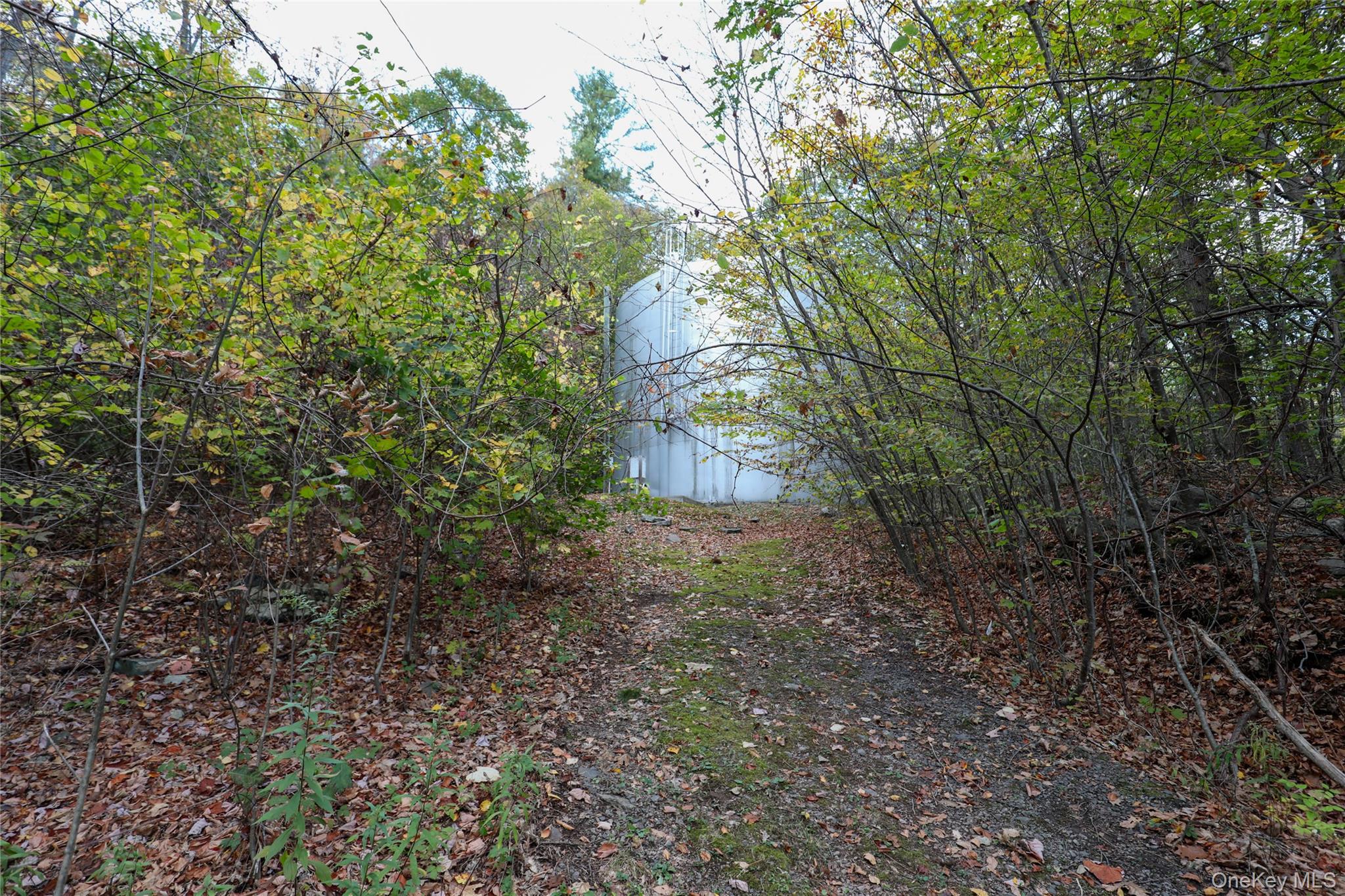 Tbd Ny-28 Route Property Photo 10
