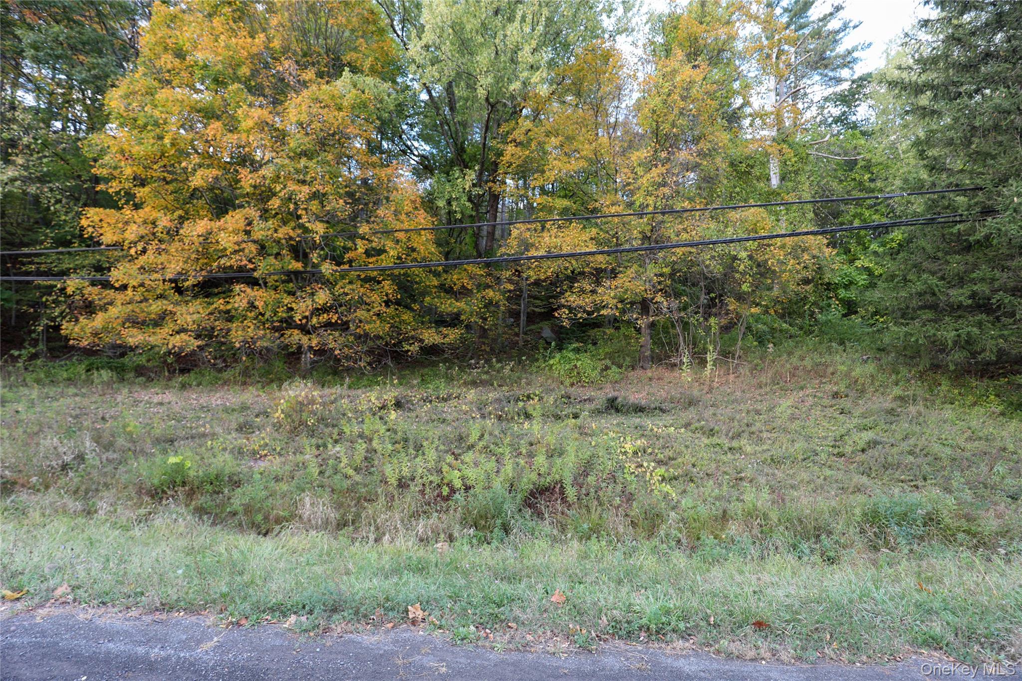 Tbd Ny-28 Route Property Photo 11