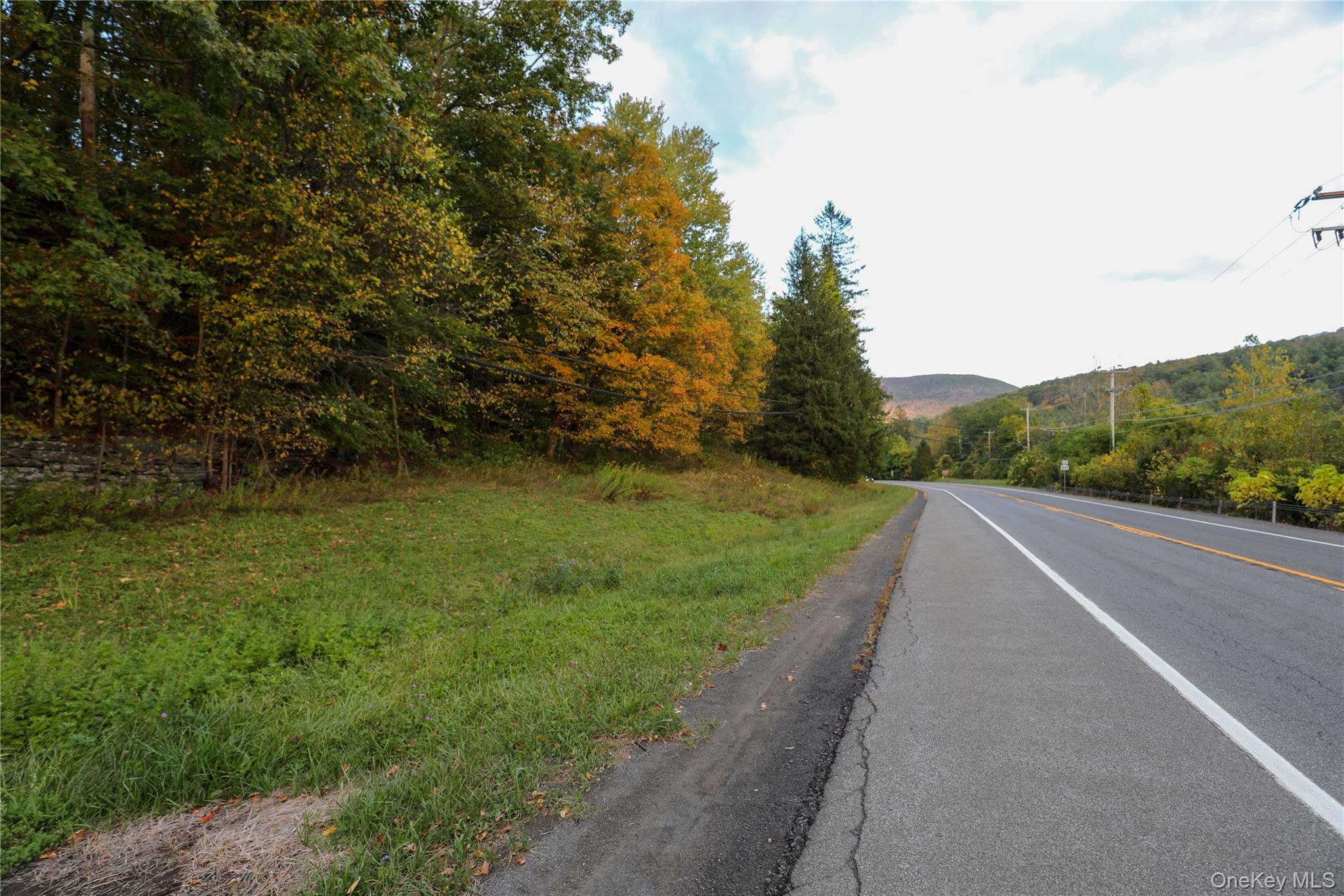 Tbd Ny-28 Route Property Photo 12
