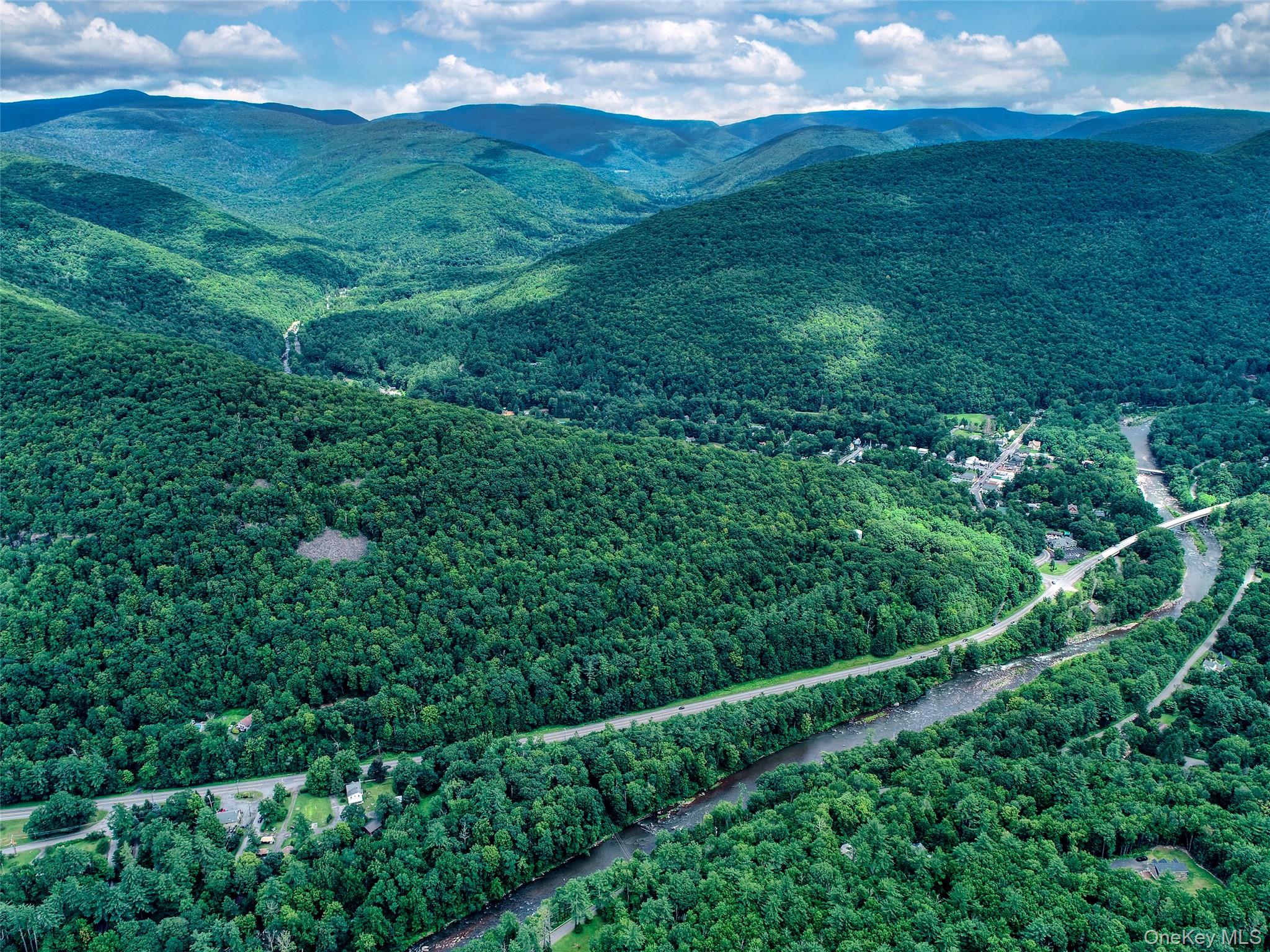 Tbd Ny-28 Route Property Photo 14