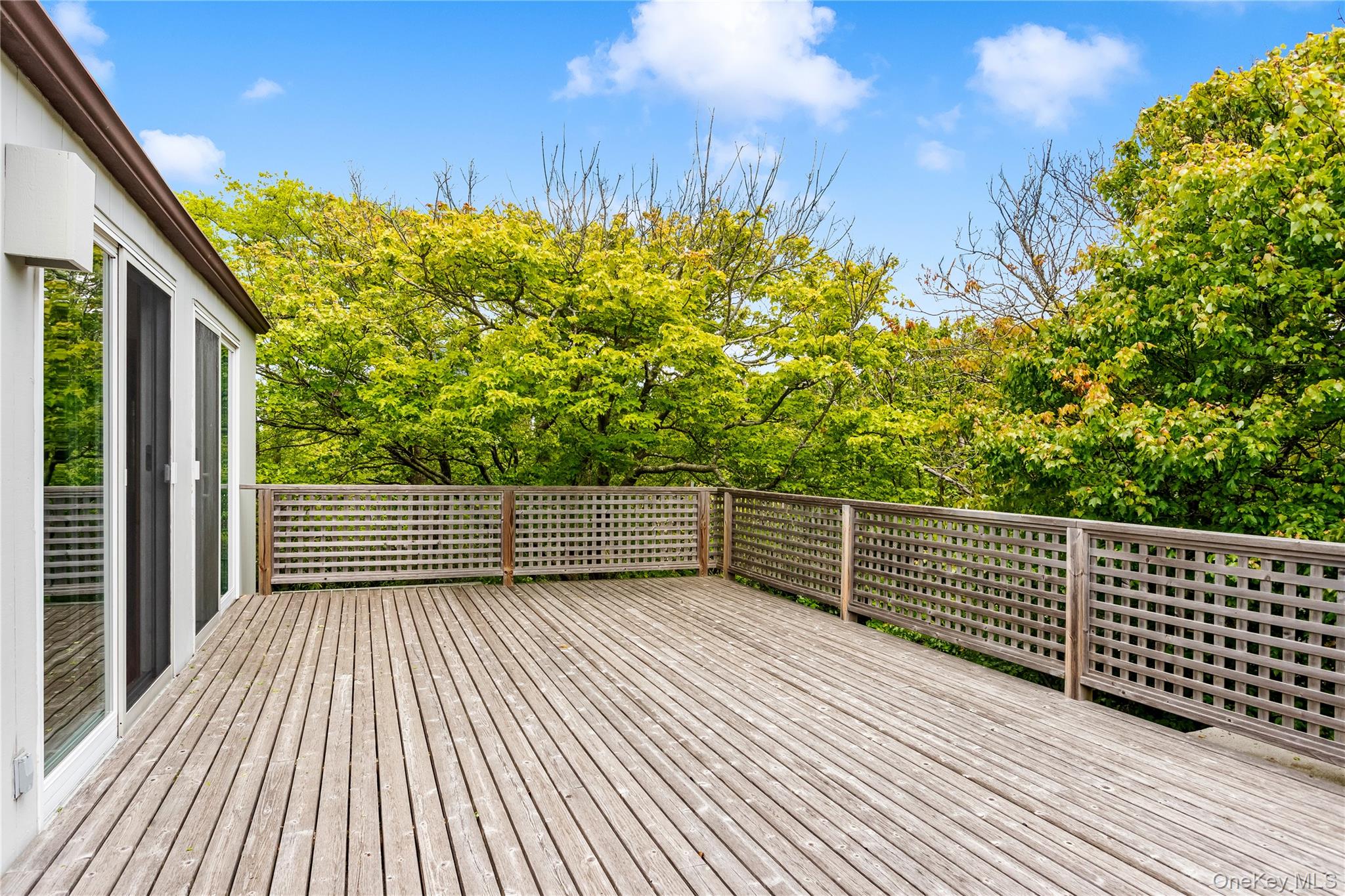 293 Bay Property Photo 7