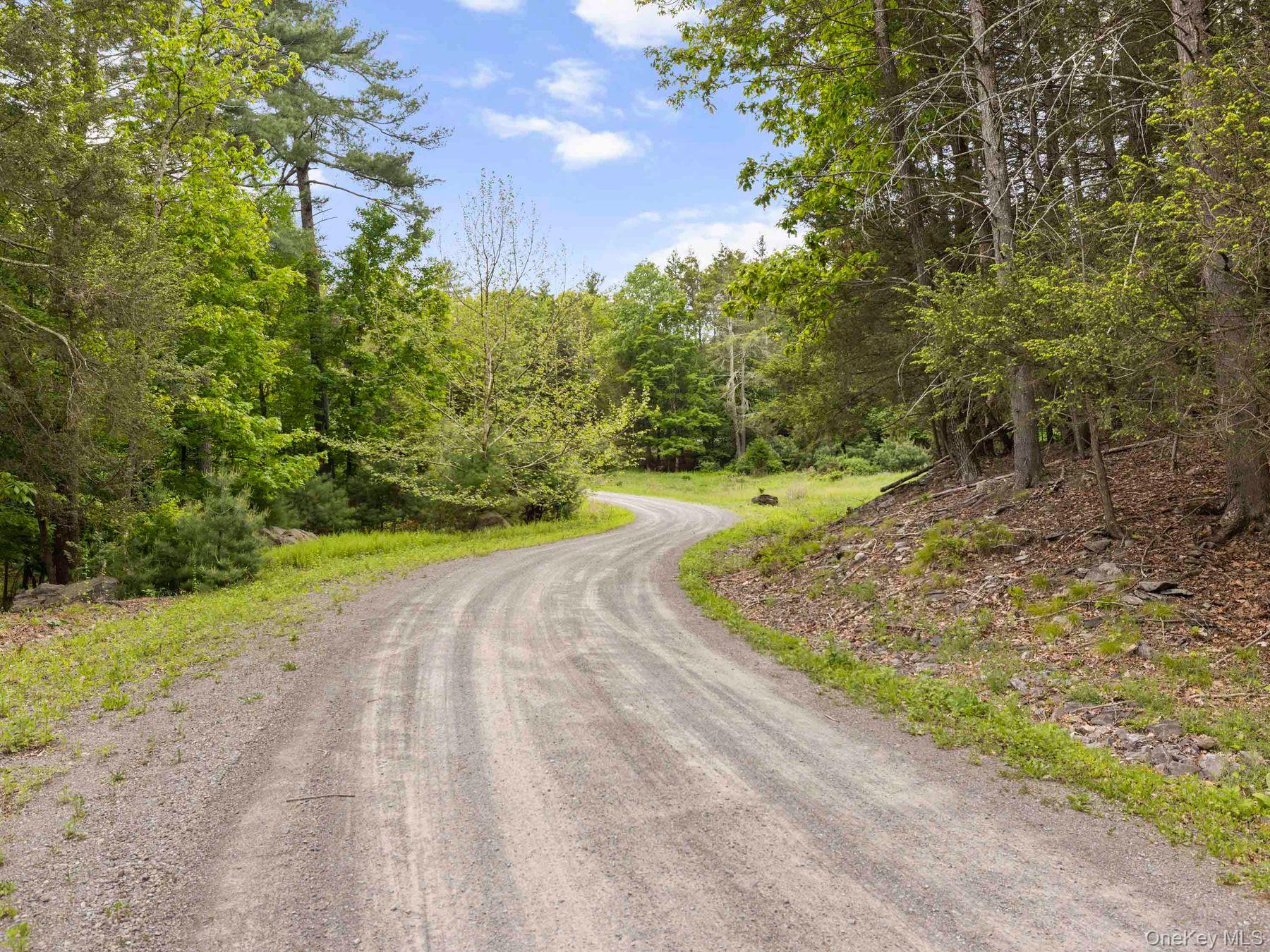 40 Mamoud Hills, Lot #4 Road Property Photo 13