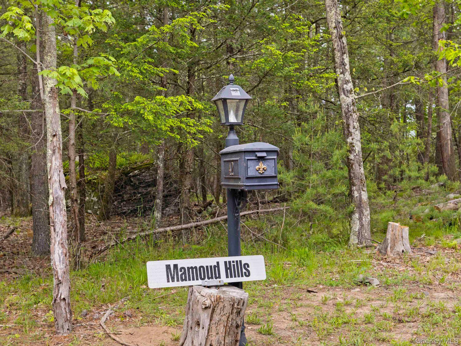 40 Mamoud Hills, Lot #4 Road Property Photo 22