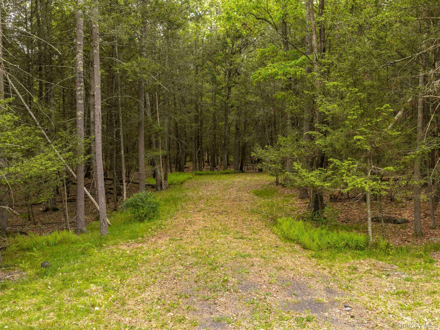40 Mamoud Hills, Lot #4 Road Property Photo 25