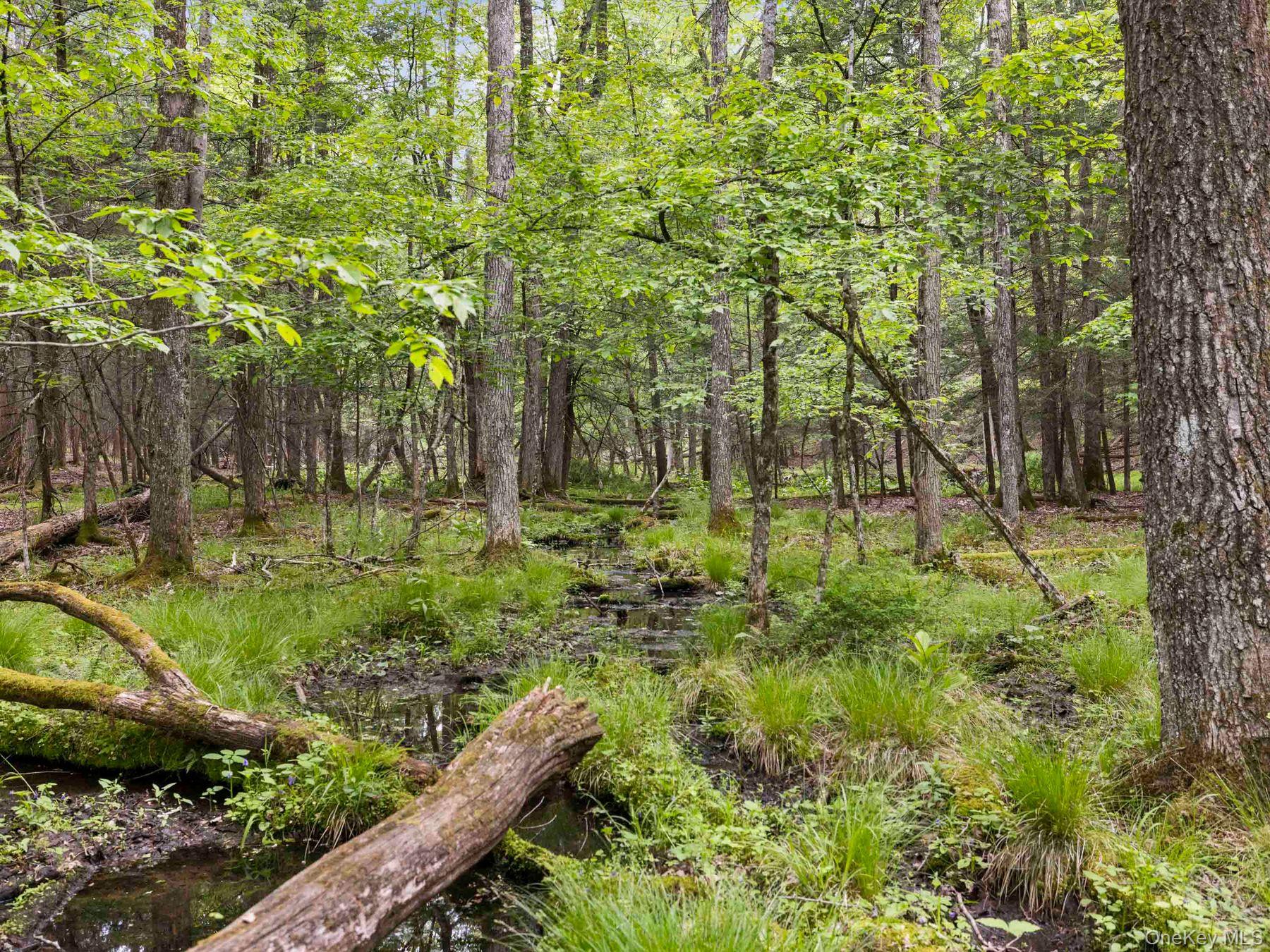 40 Mamoud Hills, Lot #4 Road Property Photo 28