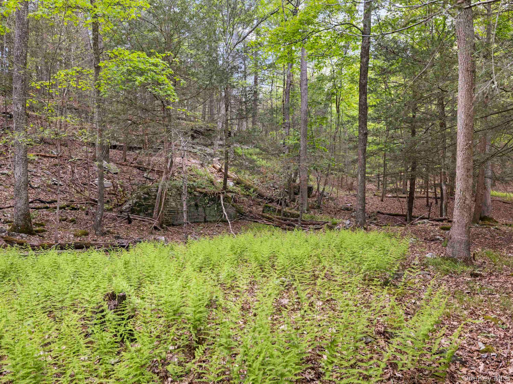 40 Mamoud Hills, Lot #4 Road Property Photo 29