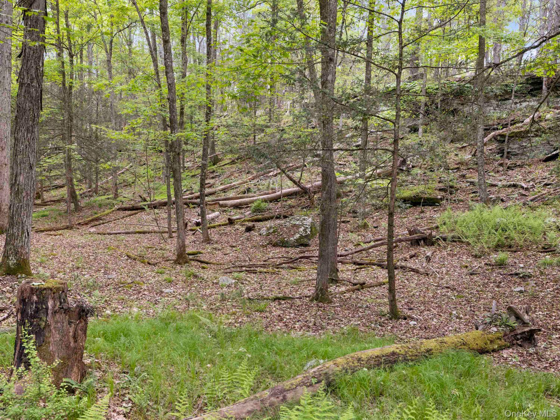 40 Mamoud Hills, Lot #4 Road Property Photo 30