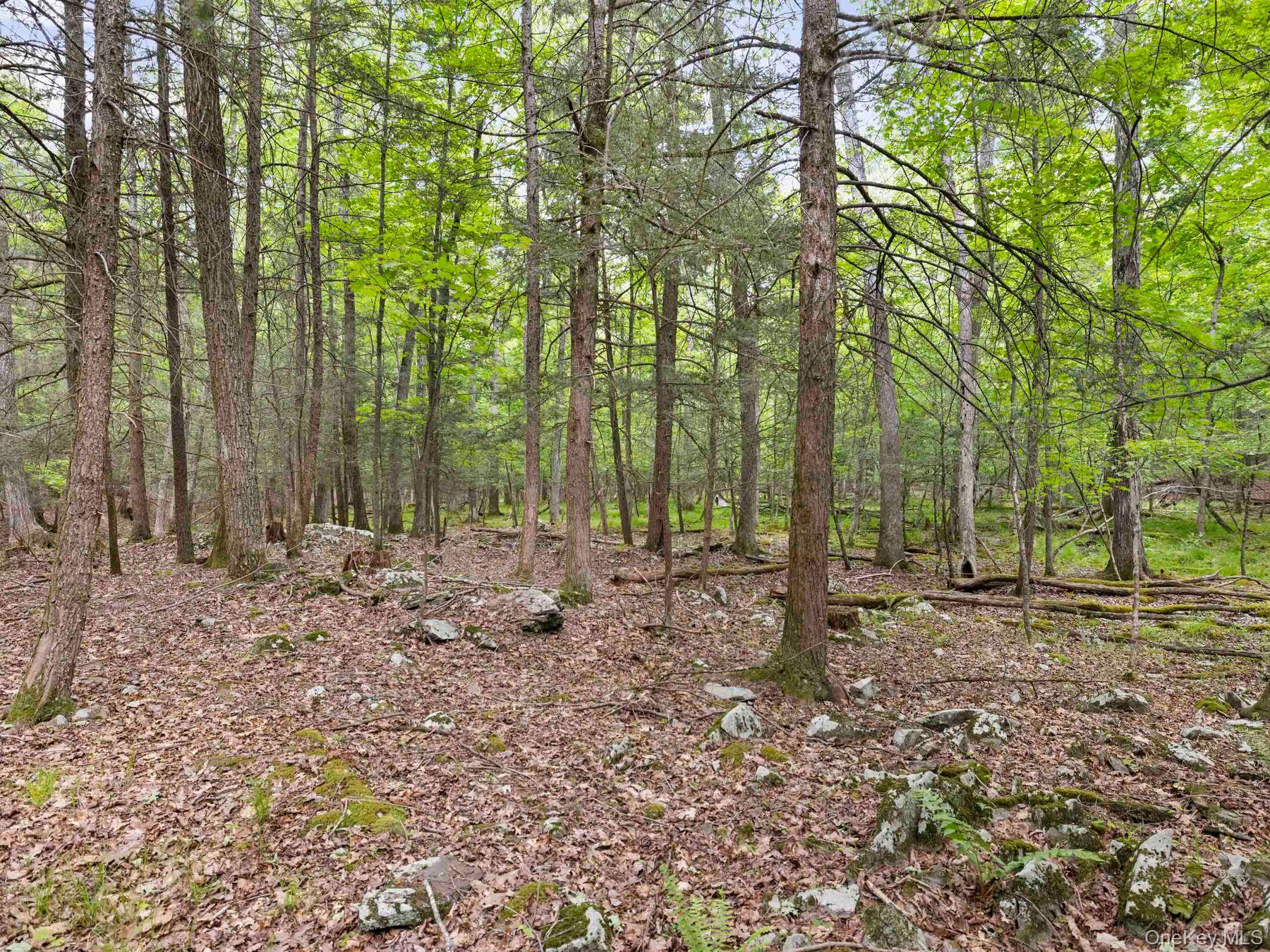 40 Mamoud Hills, Lot #4 Road Property Photo 31