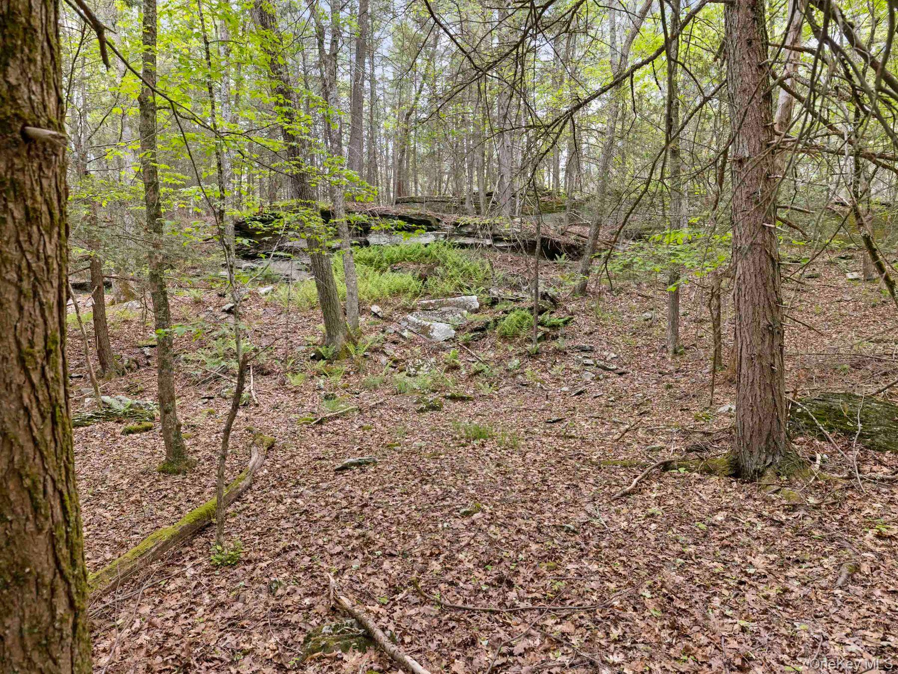 40 Mamoud Hills, Lot #4 Road Property Photo 32
