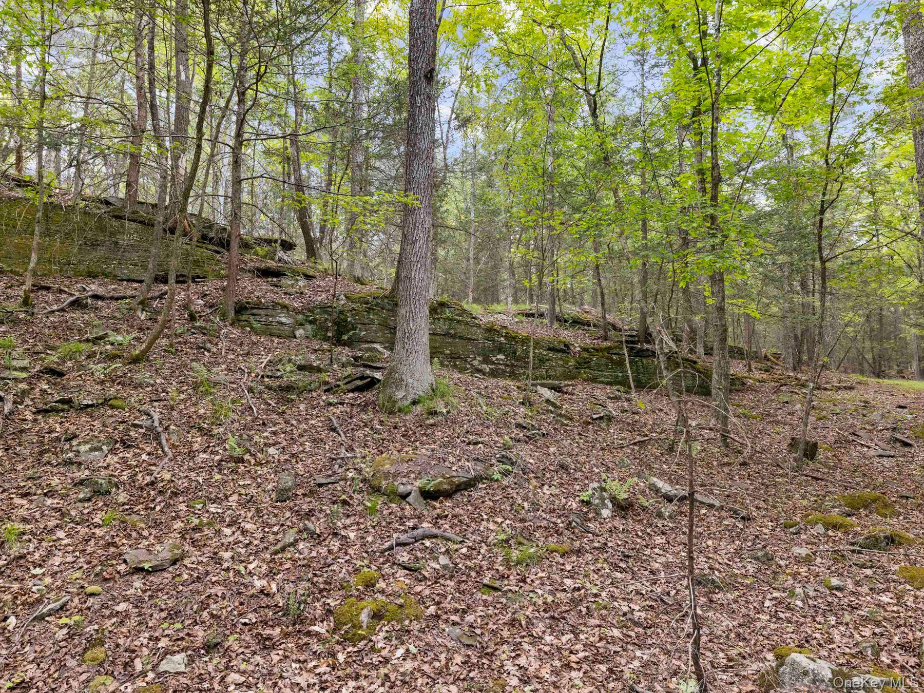 40 Mamoud Hills, Lot #4 Road Property Photo 33