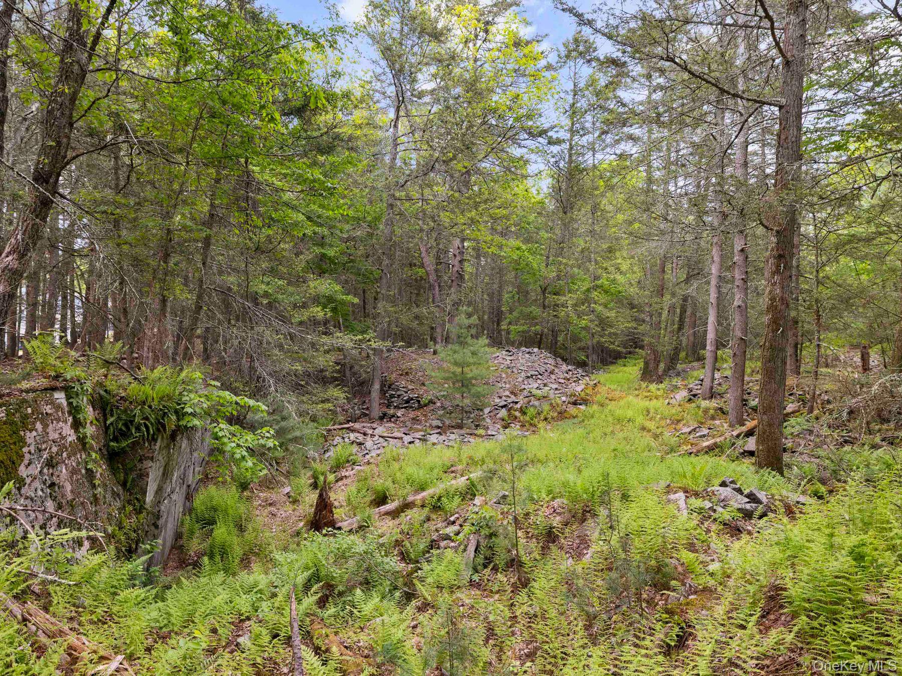 40 Mamoud Hills, Lot #4 Road Property Photo 34