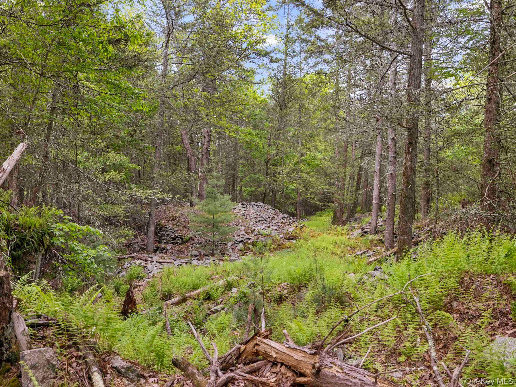 40 Mamoud Hills, Lot #4 Road Property Photo 35