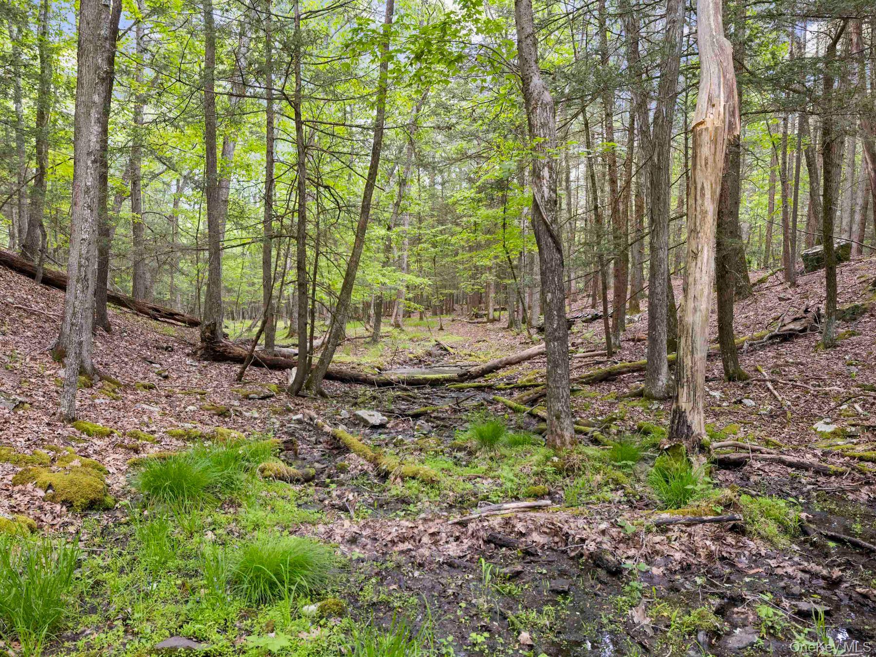 40 Mamoud Hills, Lot #4 Road Property Photo 36