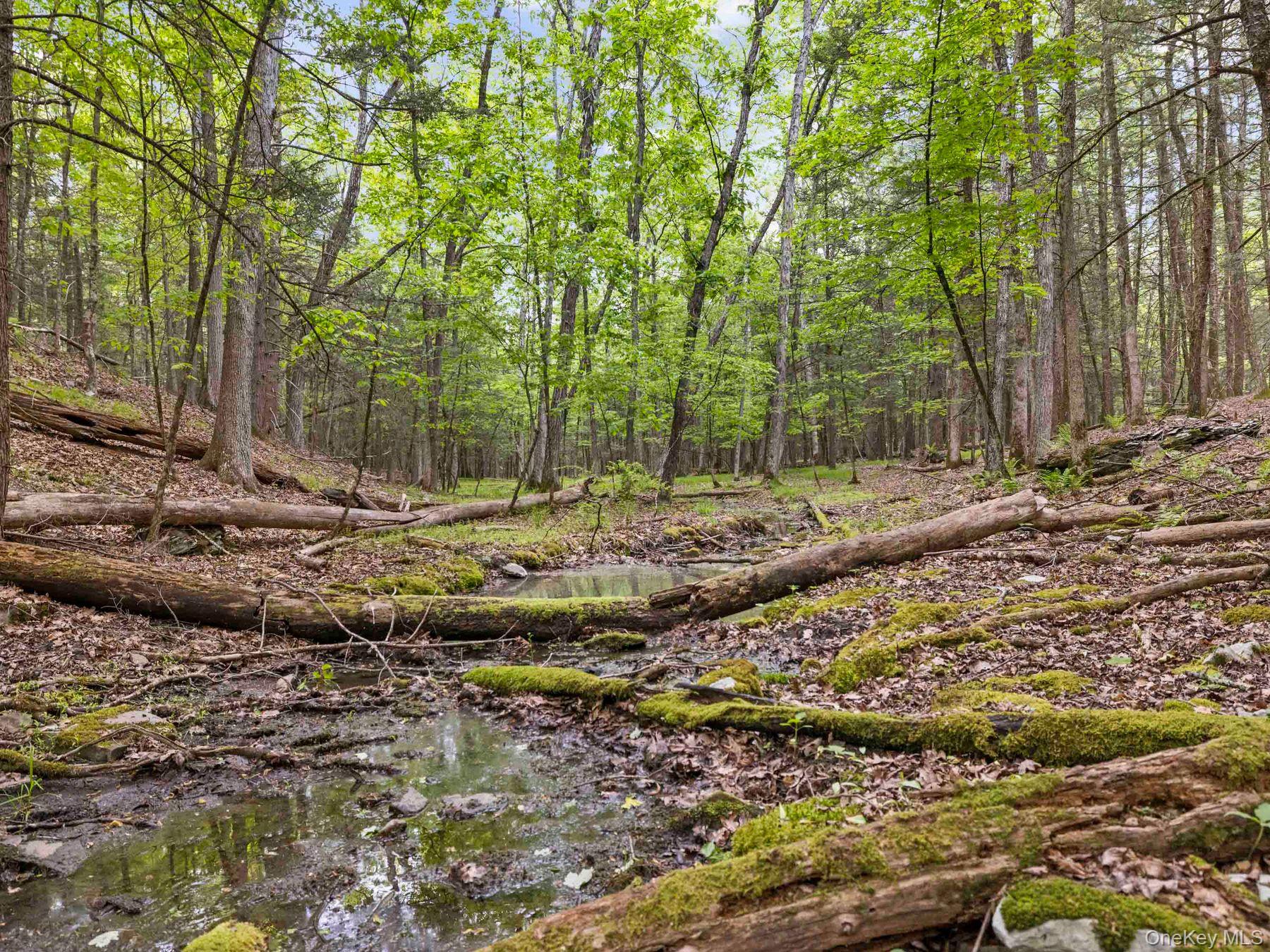 40 Mamoud Hills, Lot #4 Road Property Photo 37