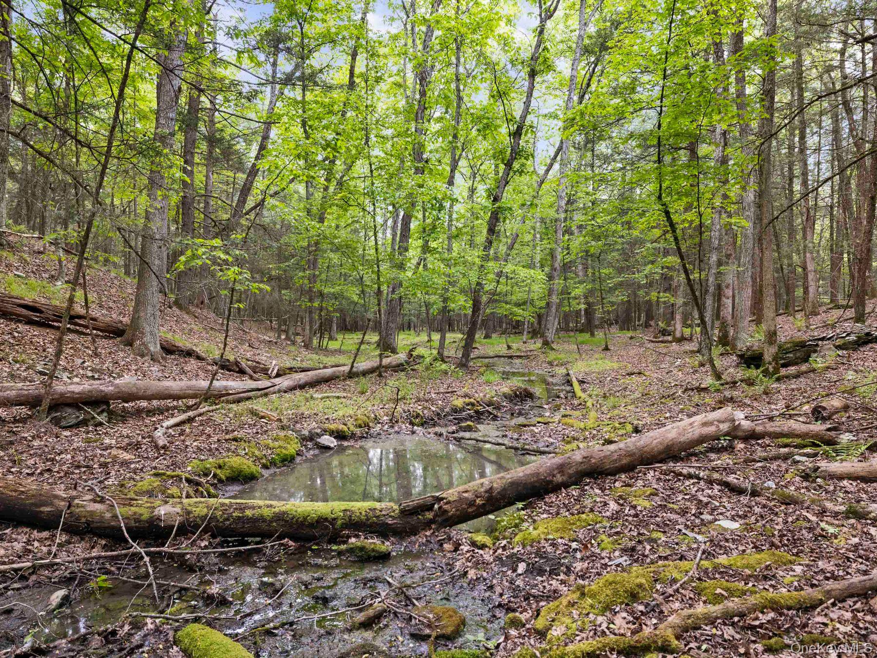 40 Mamoud Hills, Lot #4 Road Property Photo 38