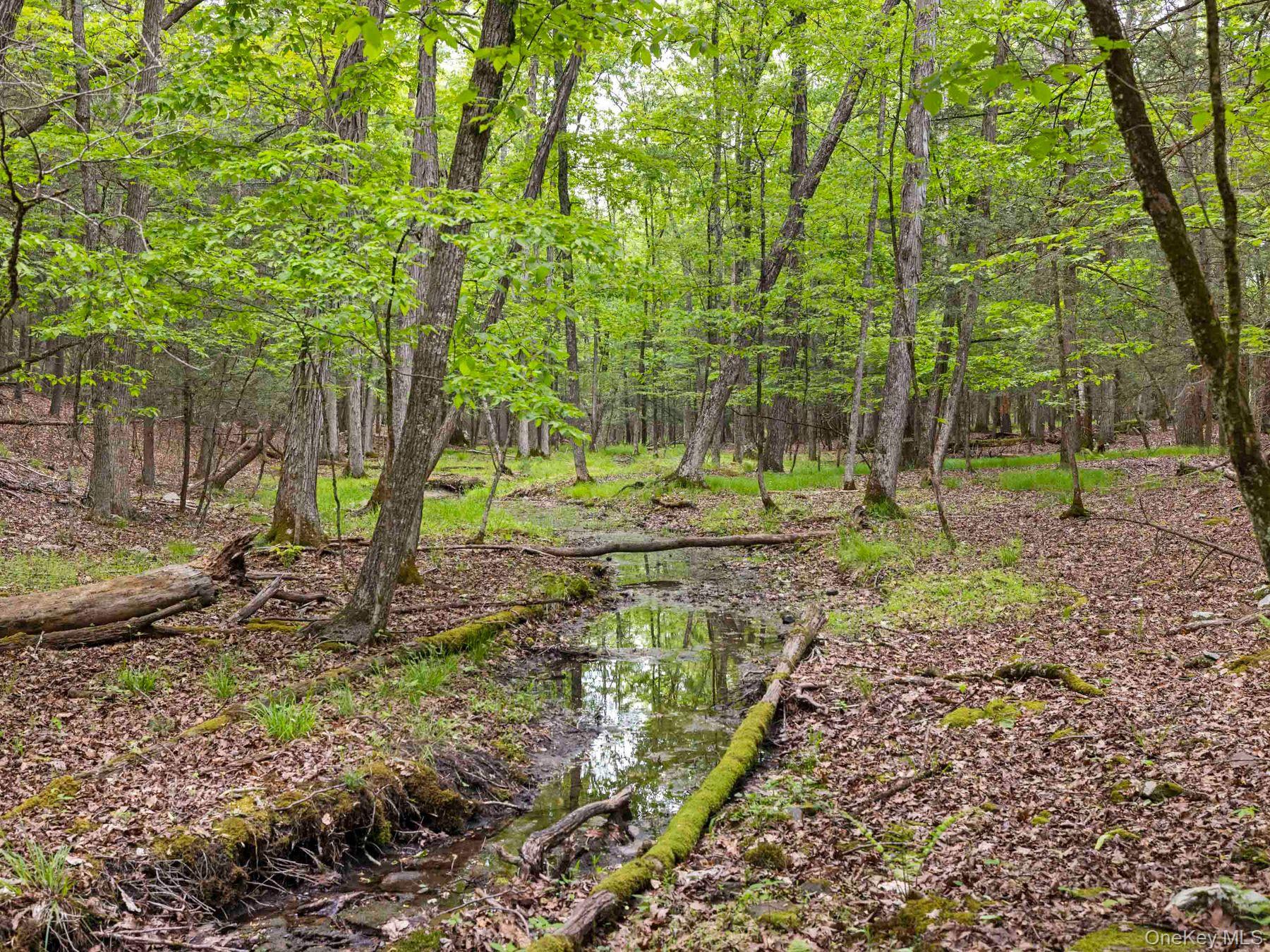 40 Mamoud Hills, Lot #4 Road Property Photo 39