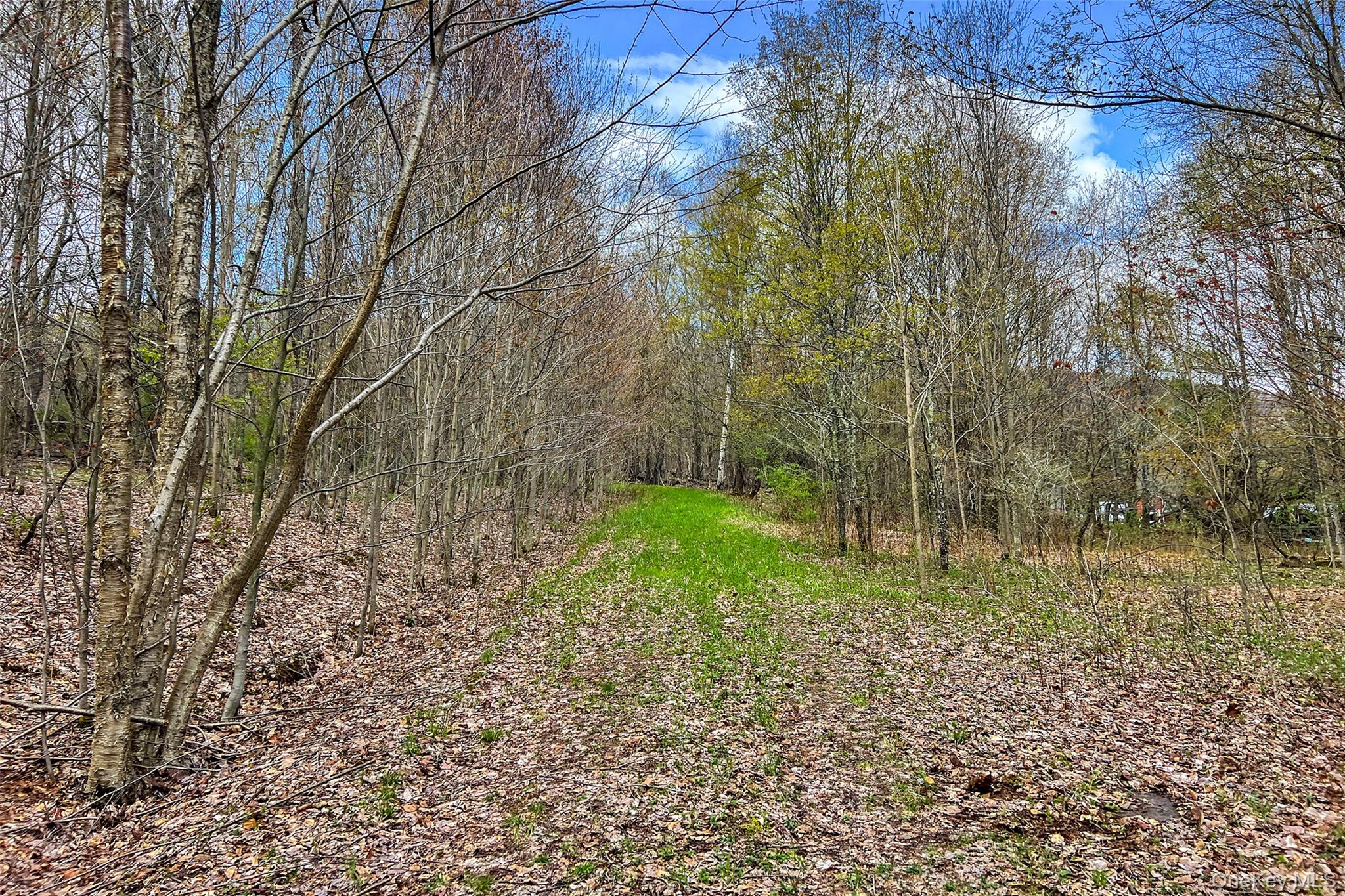 0 Brownell Road Property Photo 6