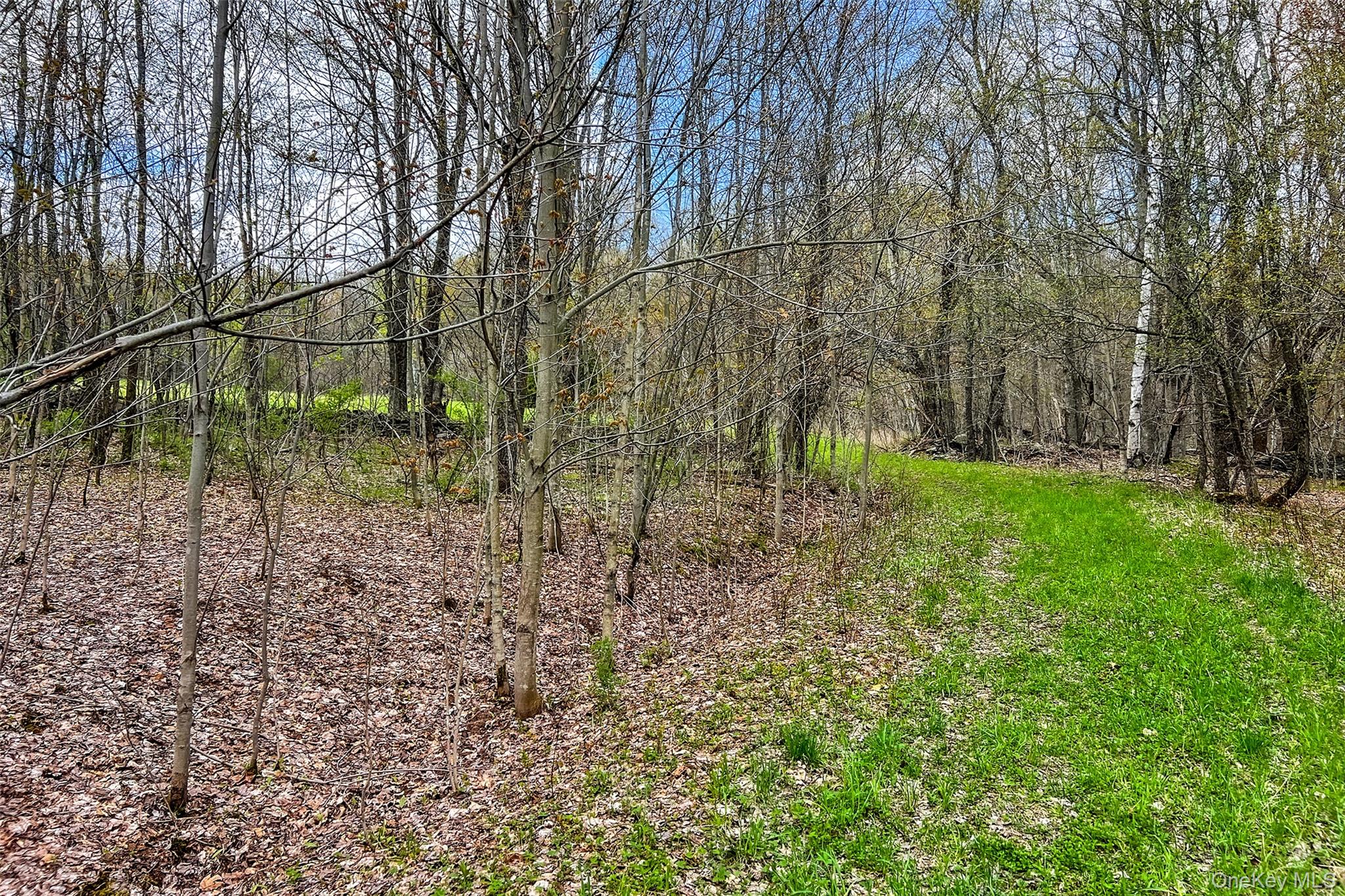 0 Brownell Road Property Photo 7