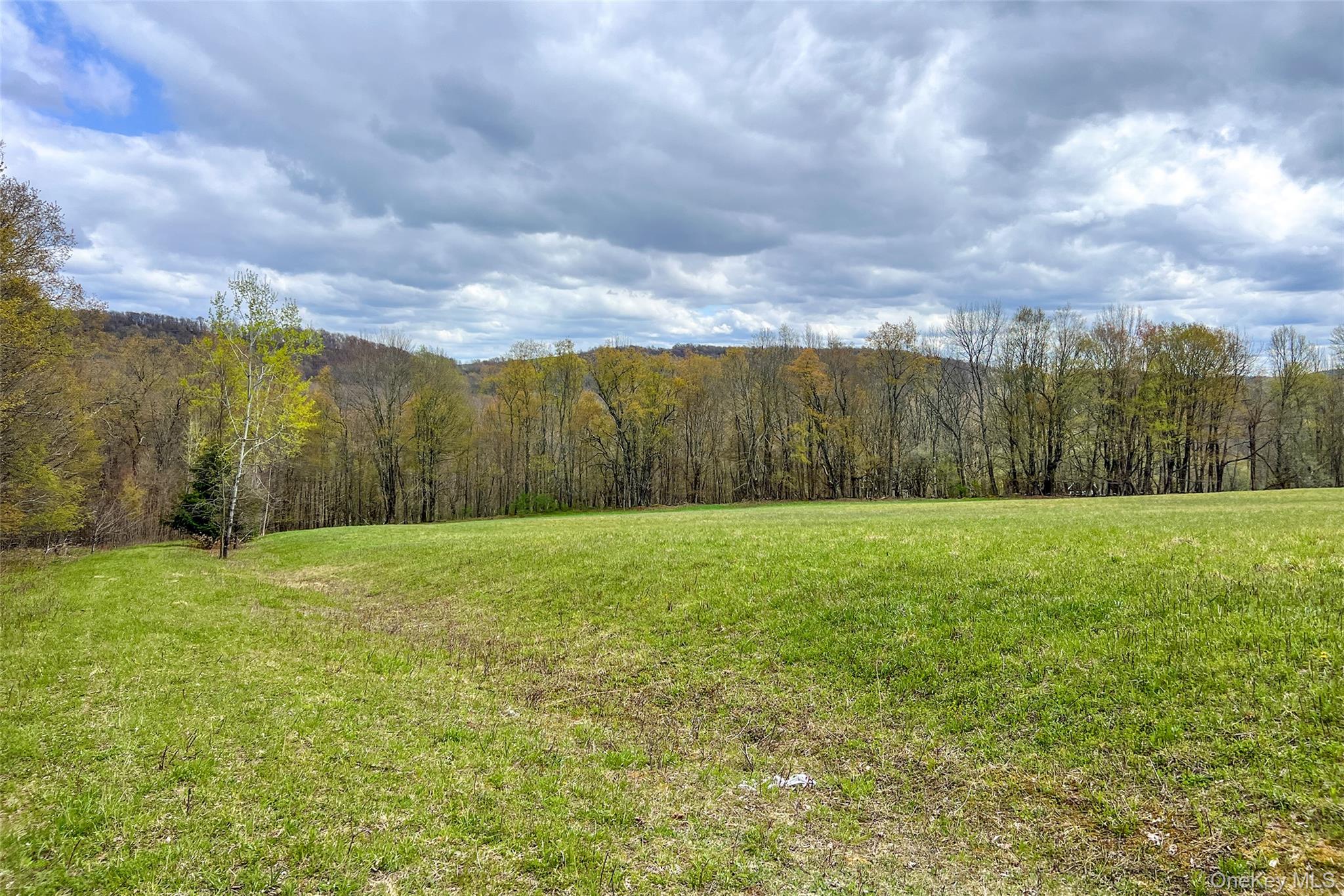 0 Brownell Road Property Photo 13
