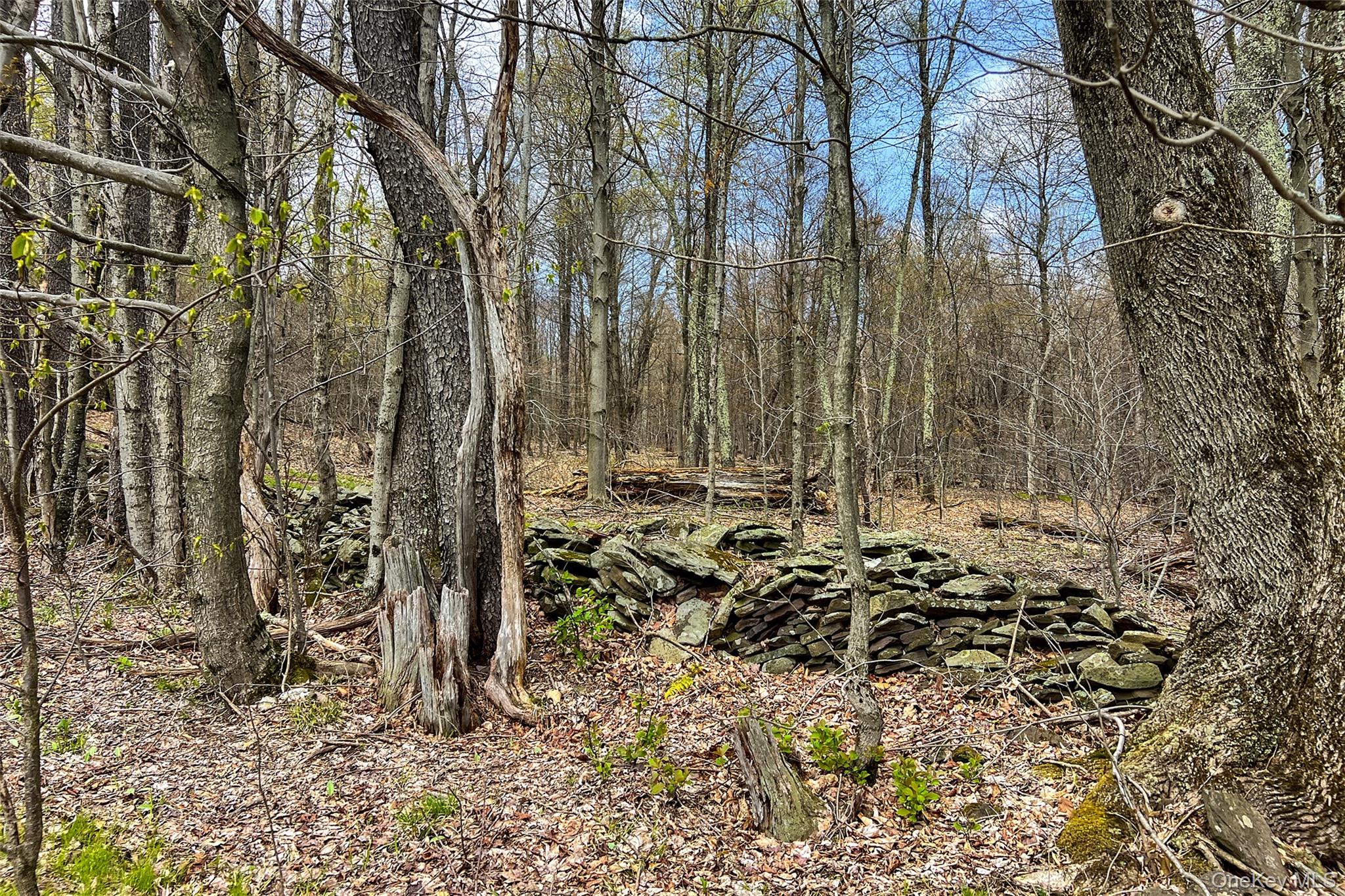 0 Brownell Road Property Photo 15