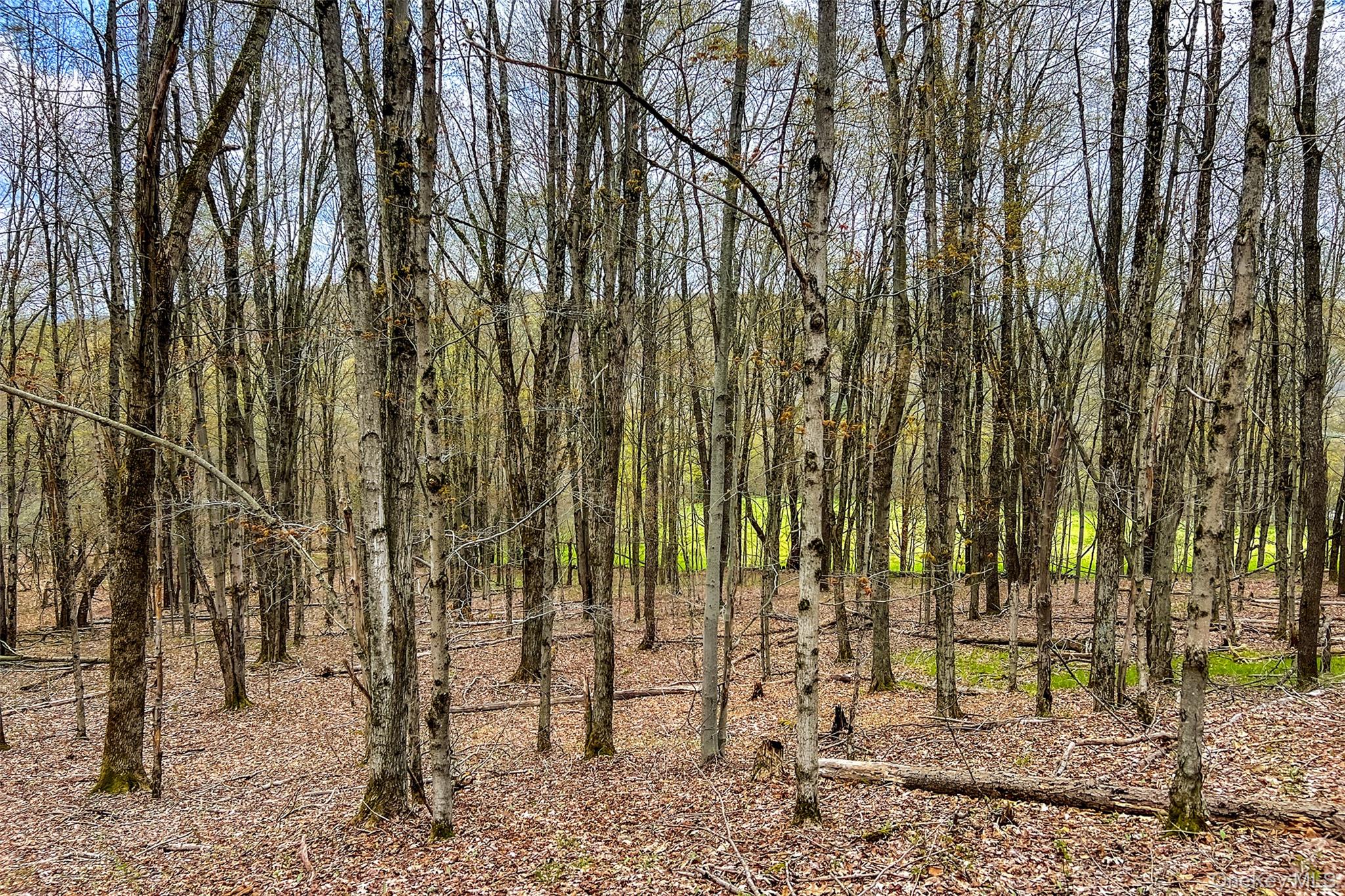 0 Brownell Road Property Photo 19