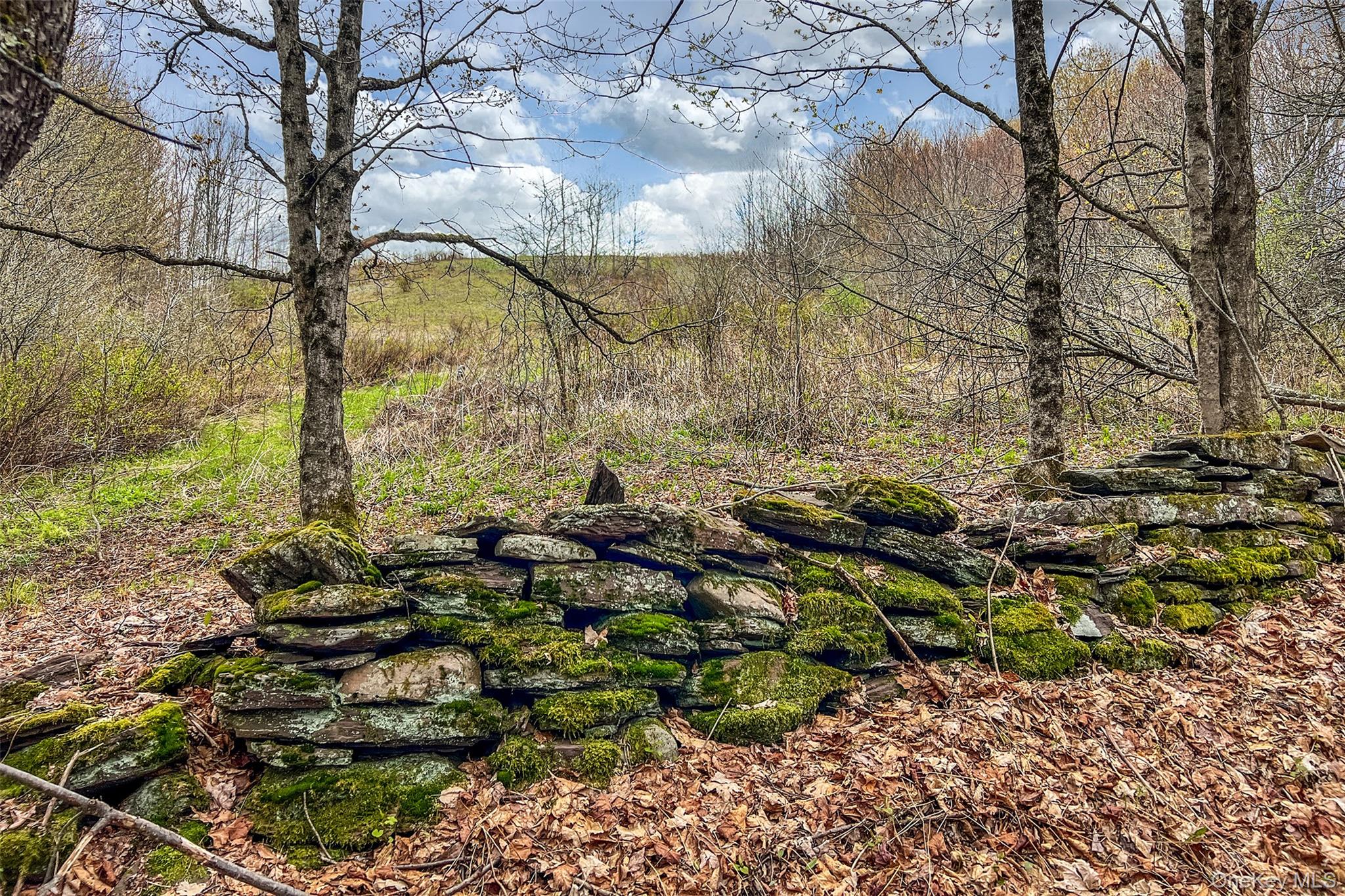 0 Brownell Road Property Photo 21