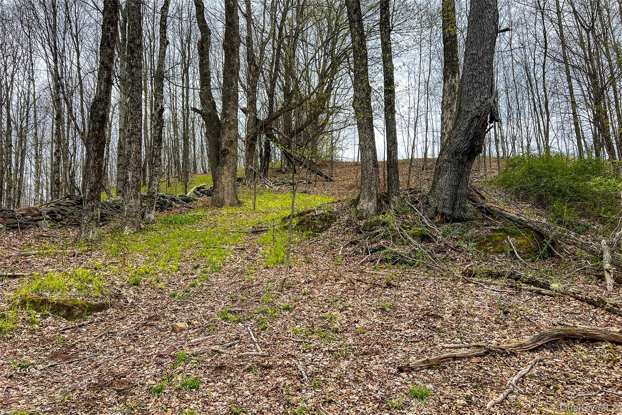 0 Brownell Road Property Photo 24