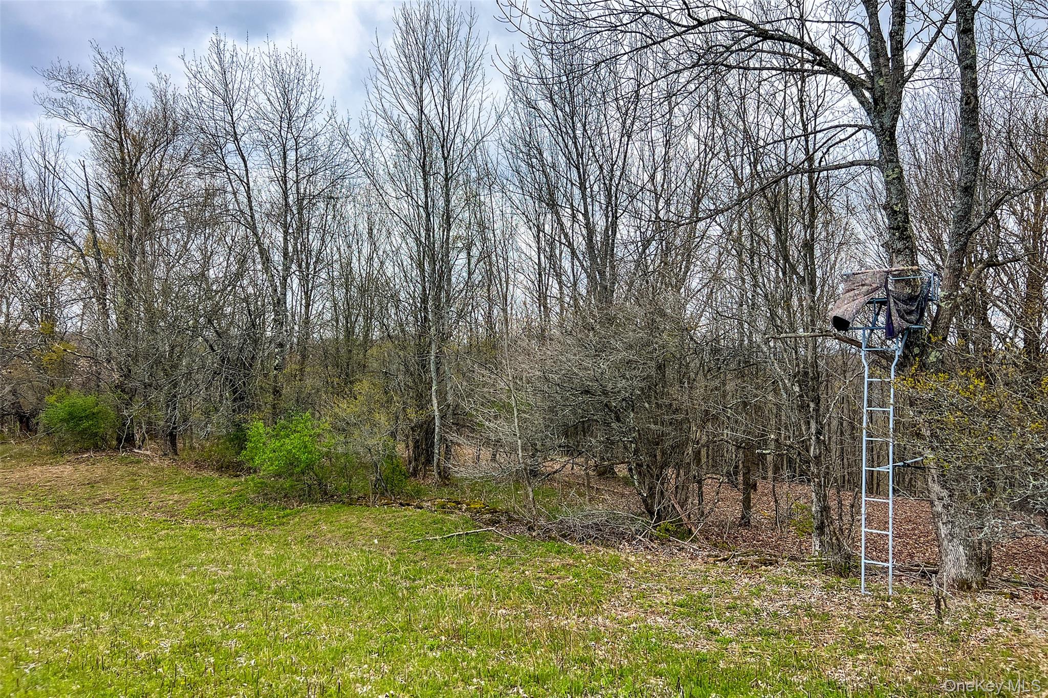 0 Brownell Road Property Photo 27