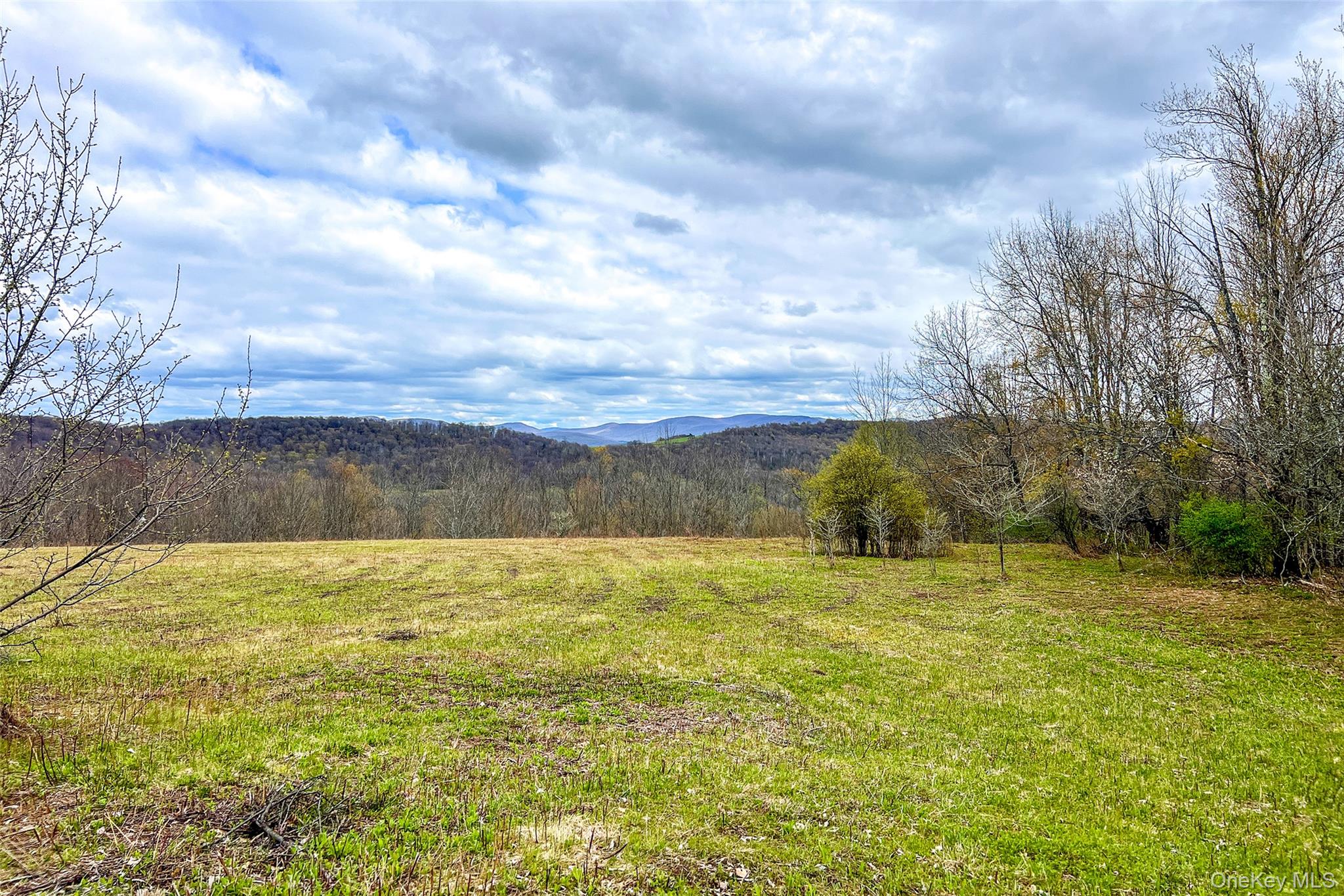 0 Brownell Road Property Photo 29