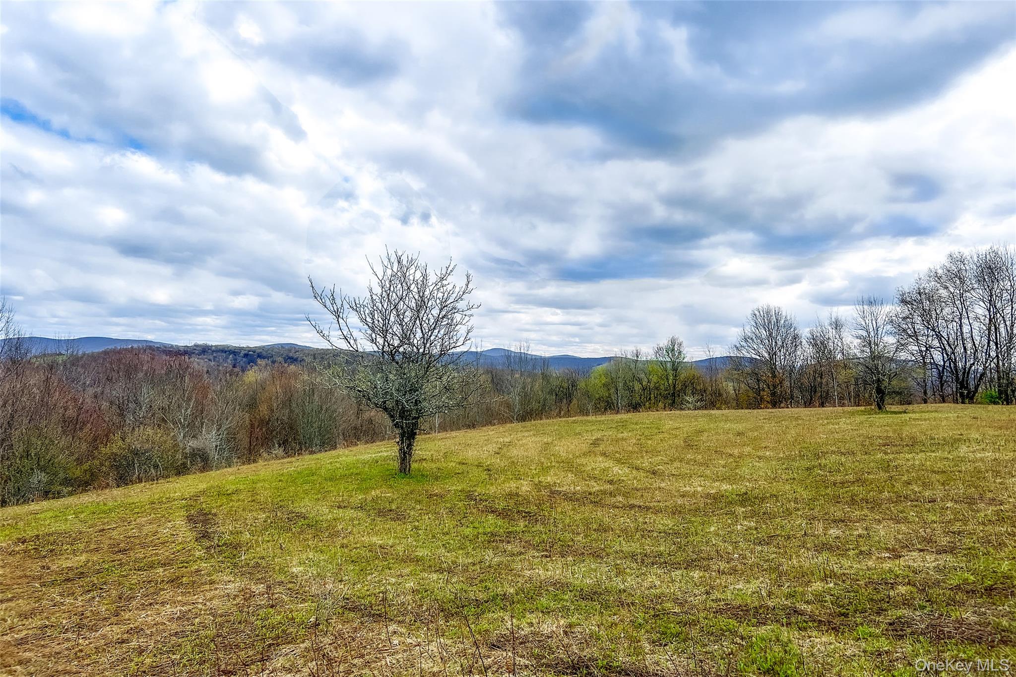0 Brownell Road Property Photo 30