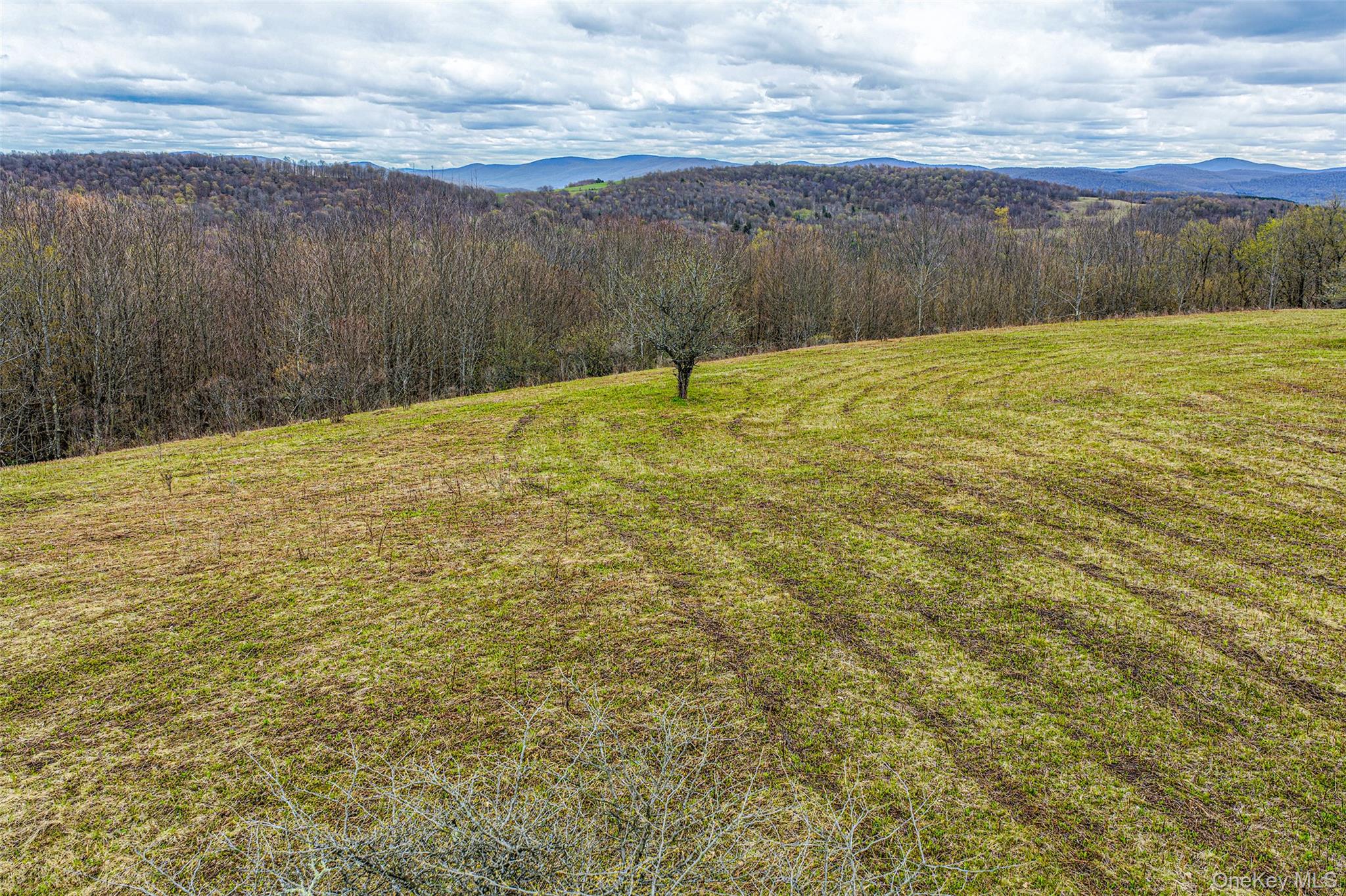 0 Brownell Road Property Photo 34